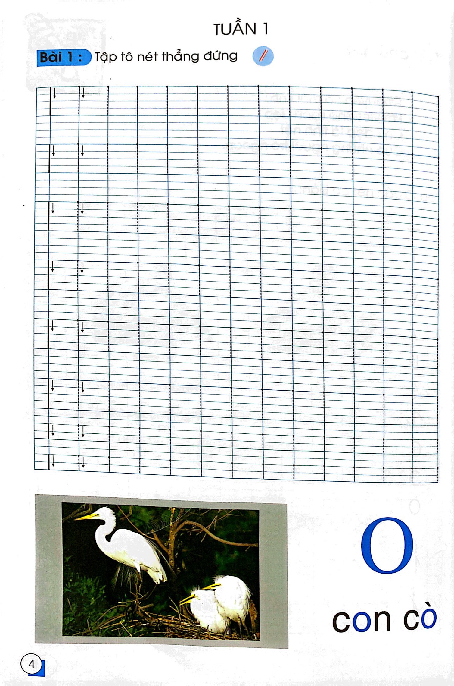 chuẩn bị cho bé vào lớp 1 - tập tô nét cơ bản (tái bản)