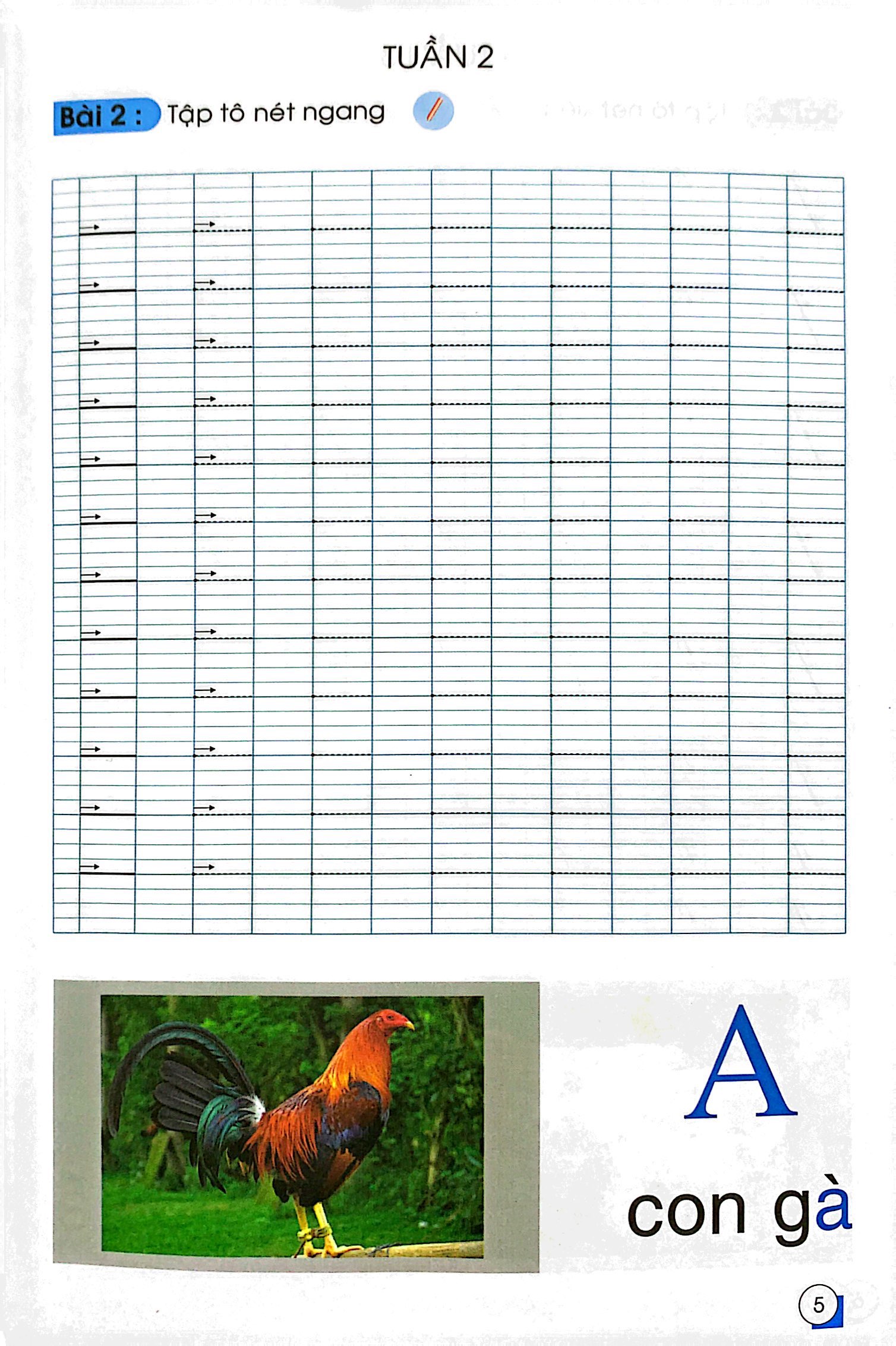 chuẩn bị cho bé vào lớp 1 - tập tô nét cơ bản (tái bản)