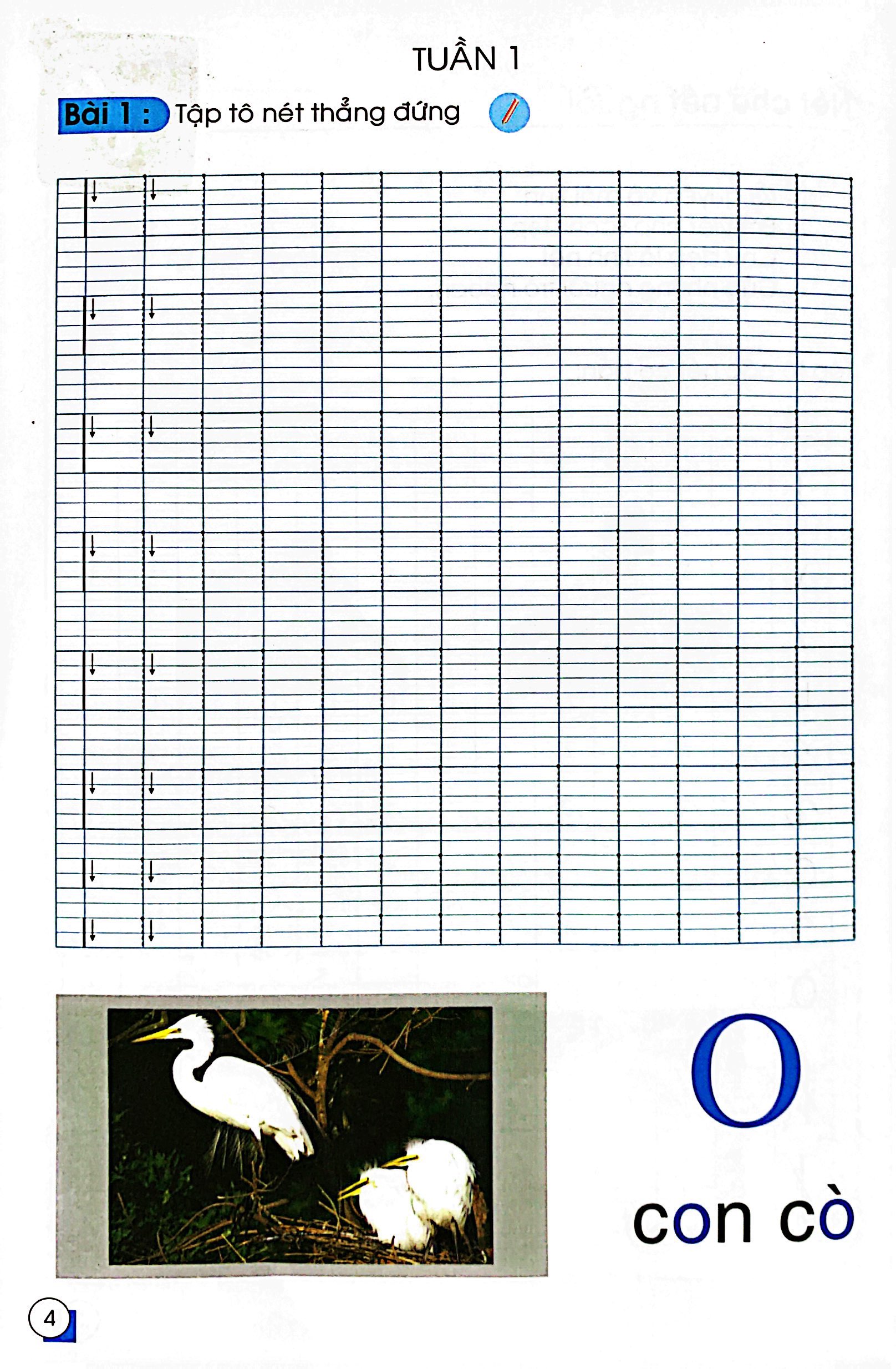 chuẩn bị cho bé vào lớp môt - tập tô nét cơ bản