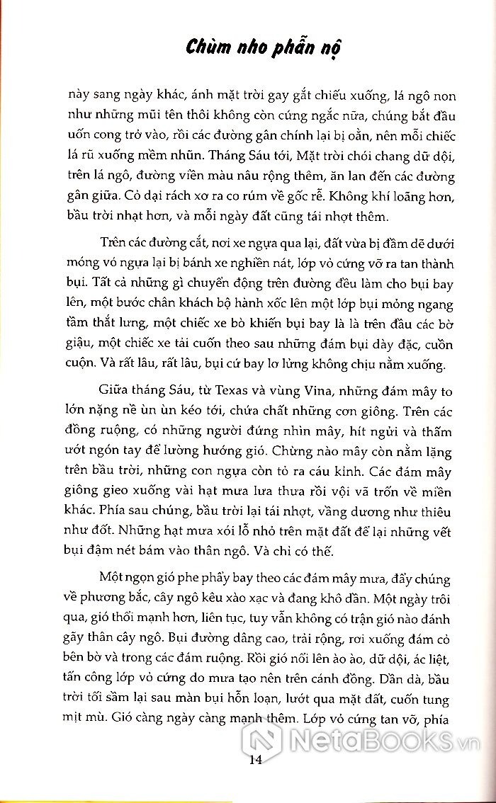 chùm nho phẫn nộ (tái bản 2024)