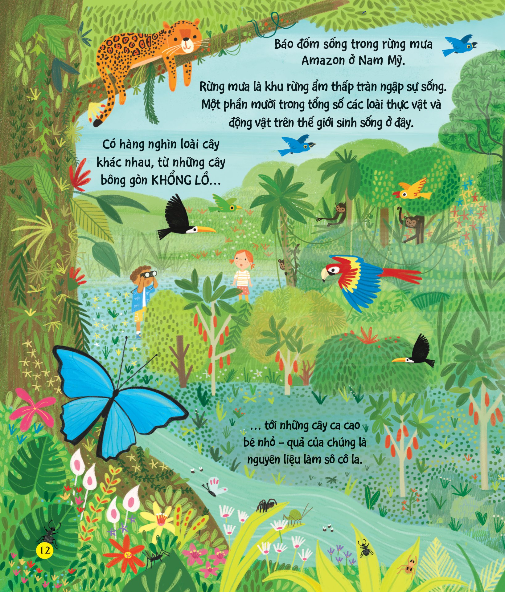 chúng ta có thể bảo vệ trái đất? - giải cứu cây xanh