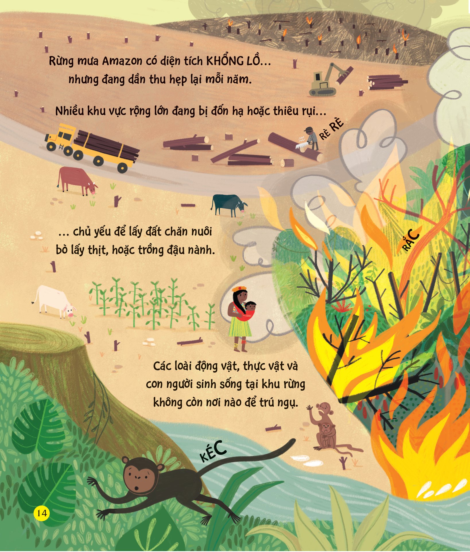 chúng ta có thể bảo vệ trái đất? - giải cứu cây xanh