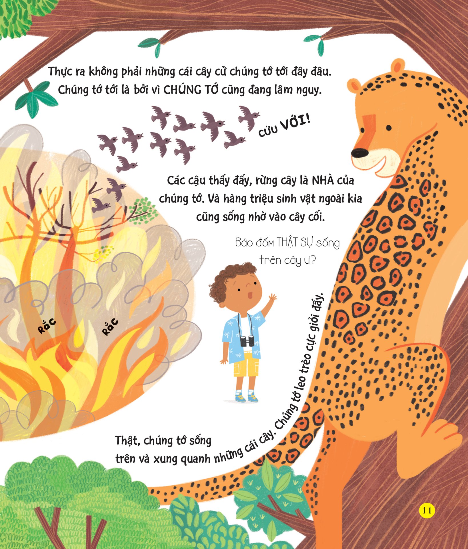 chúng ta có thể bảo vệ trái đất? - giải cứu cây xanh