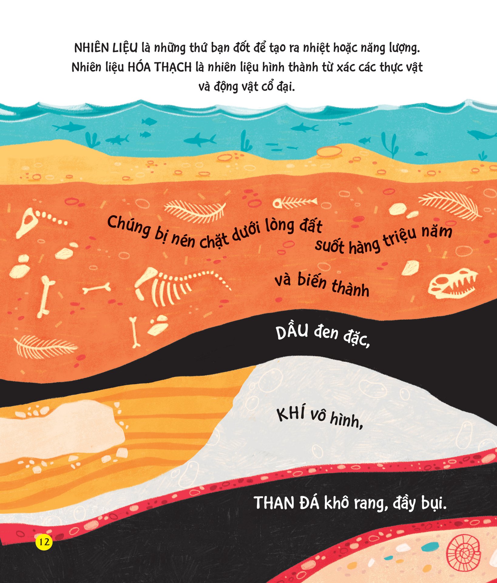 chúng ta có thể bảo vệ trái đất? - giải cứu gấu bắc cực