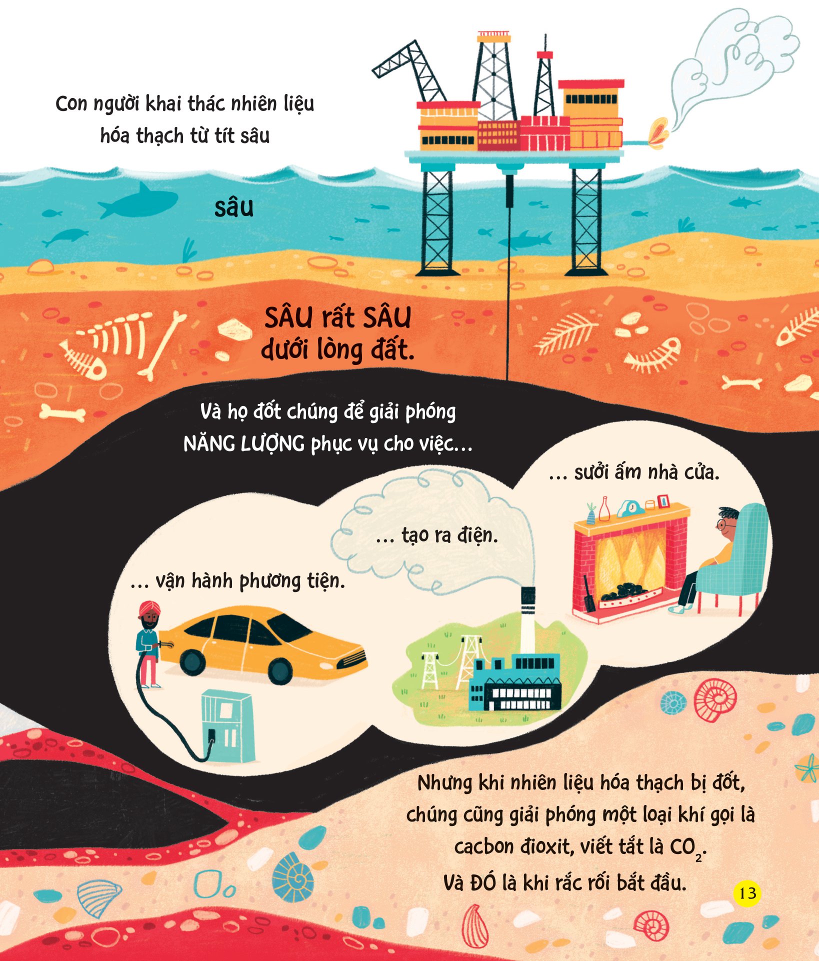 chúng ta có thể bảo vệ trái đất? - giải cứu gấu bắc cực