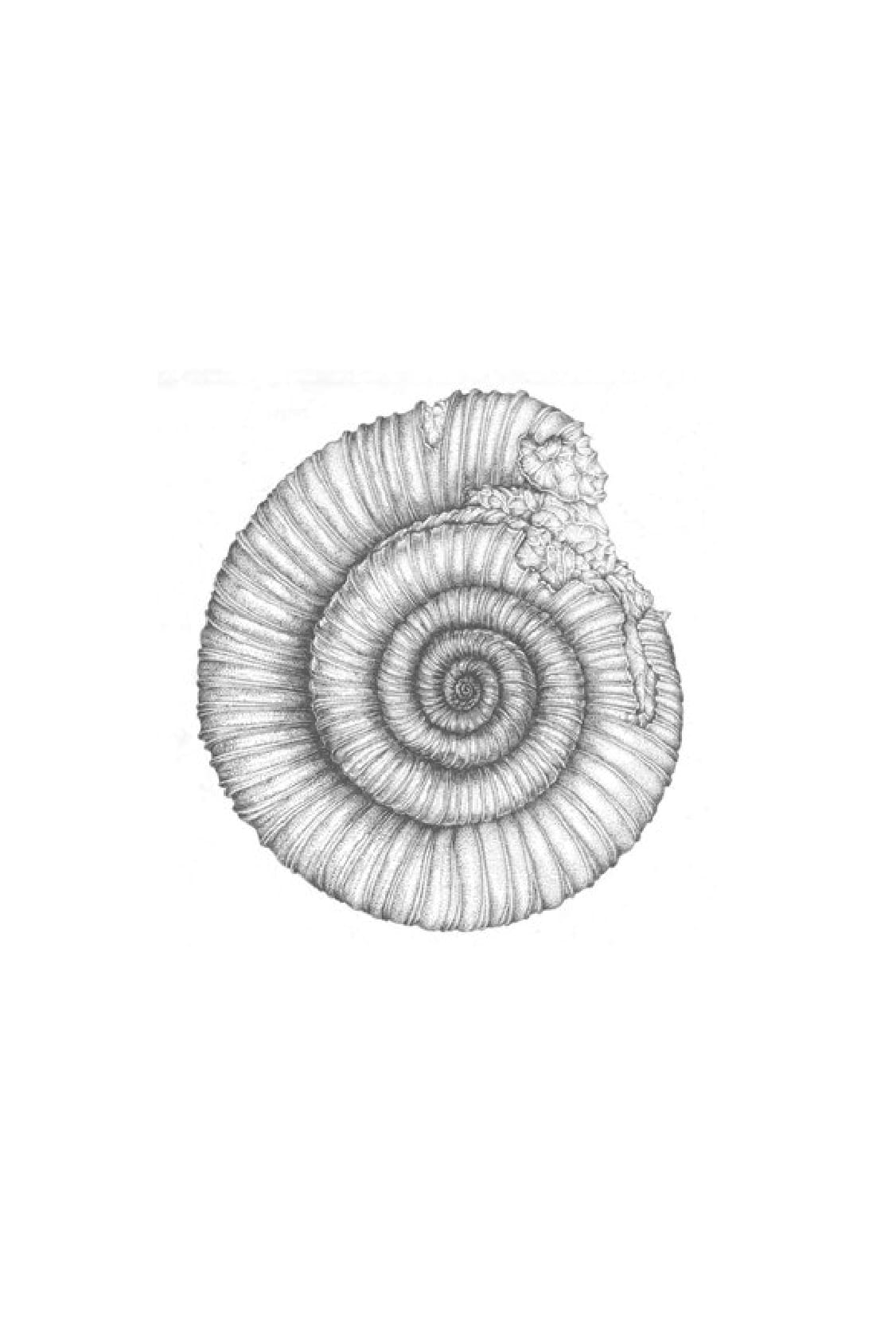 chúng ta làm gì với trái đất?