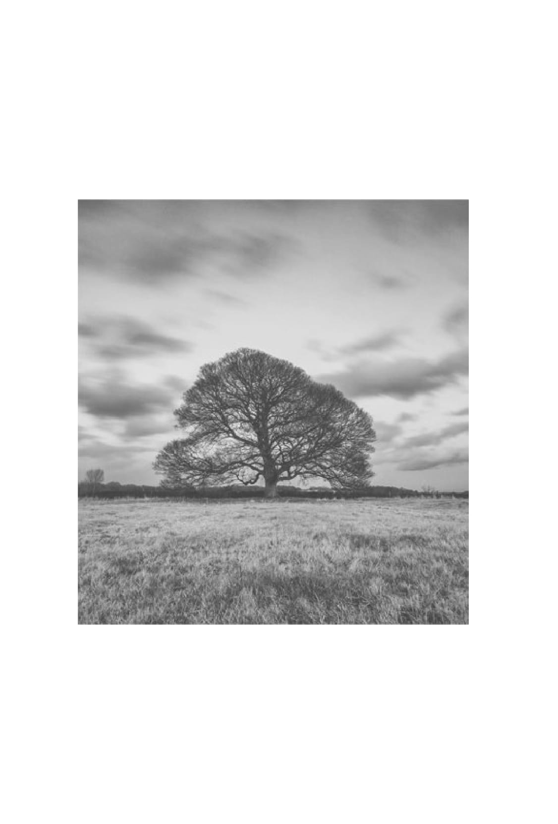 chúng ta làm gì với trái đất?