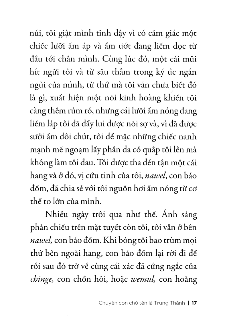chuyện con chó tên là trung thành