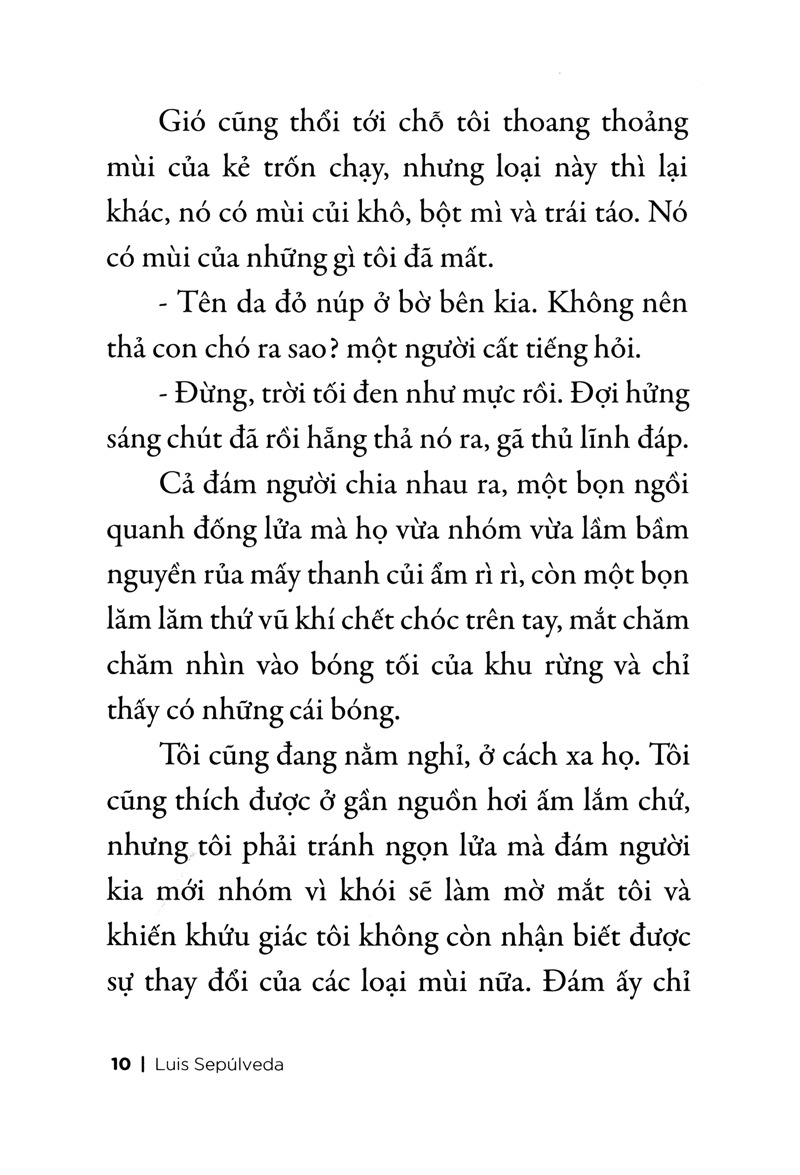 Chuyện Con Chó Tên Là Trung Thành (Tái Bản 2026)