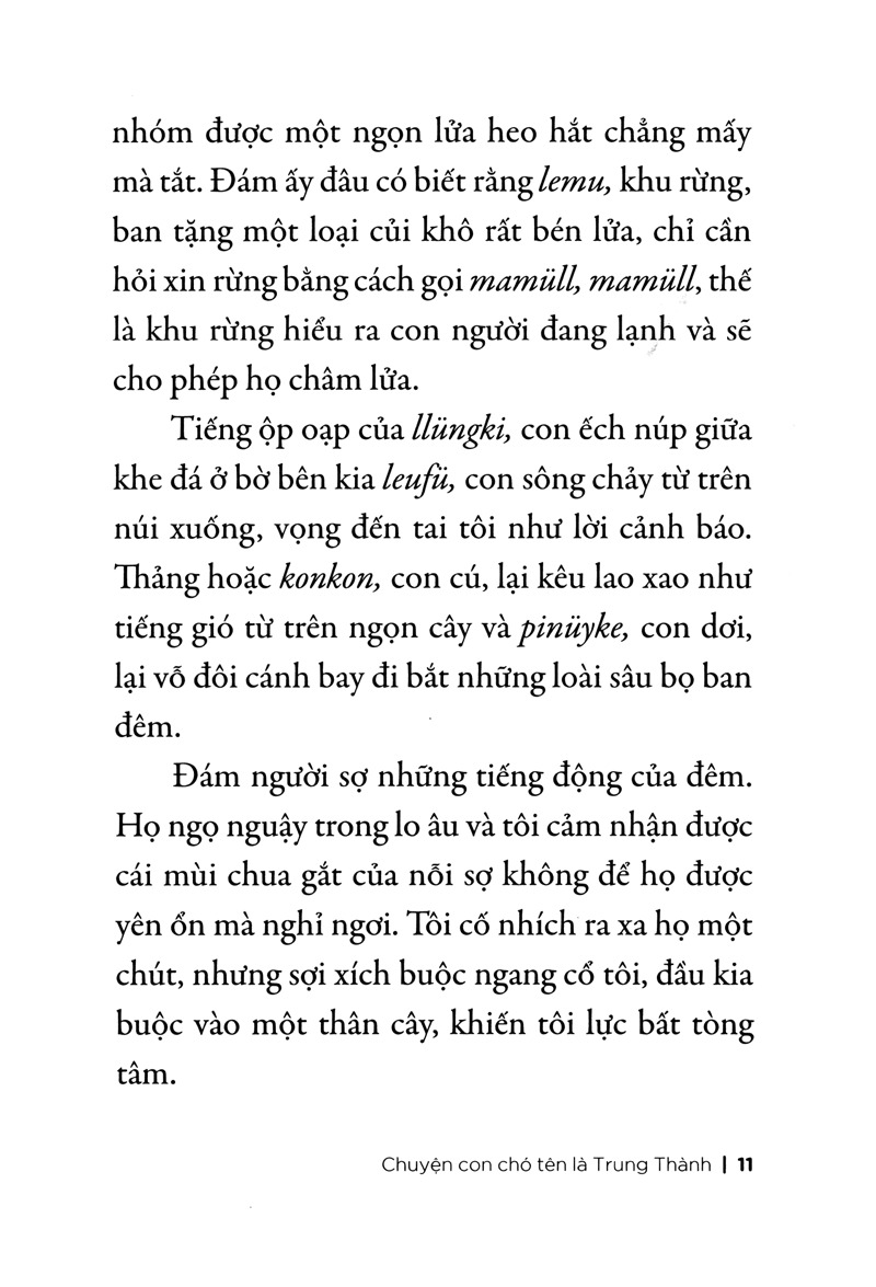 Chuyện Con Chó Tên Là Trung Thành (Tái Bản 2026)