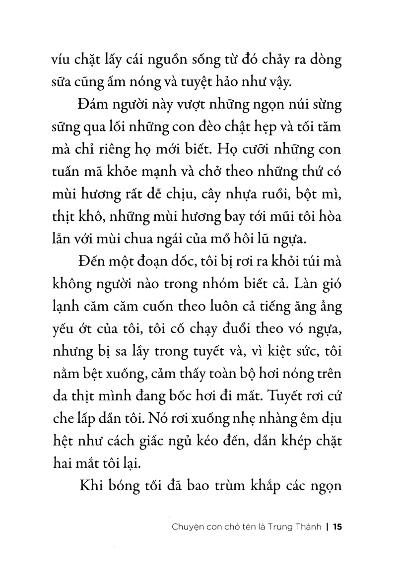 Chuyện Con Chó Tên Là Trung Thành (Tái Bản 2026)