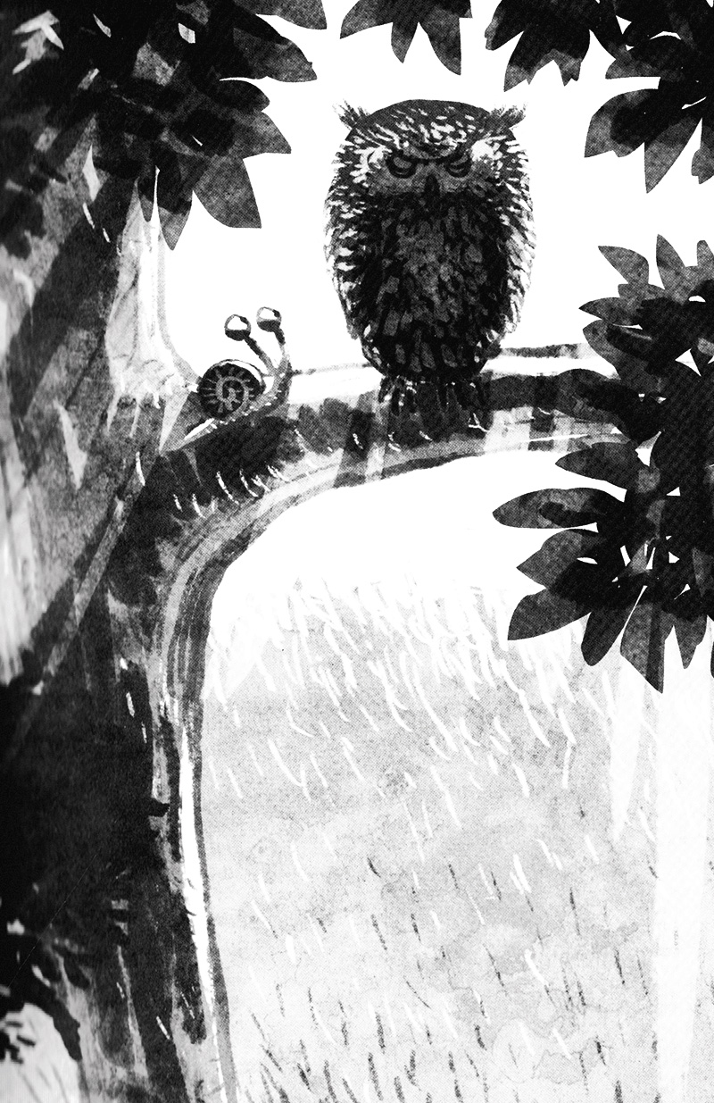 chuyện con ốc sên muốn biết tại sao nó chậm chạp (tái bản 2022)