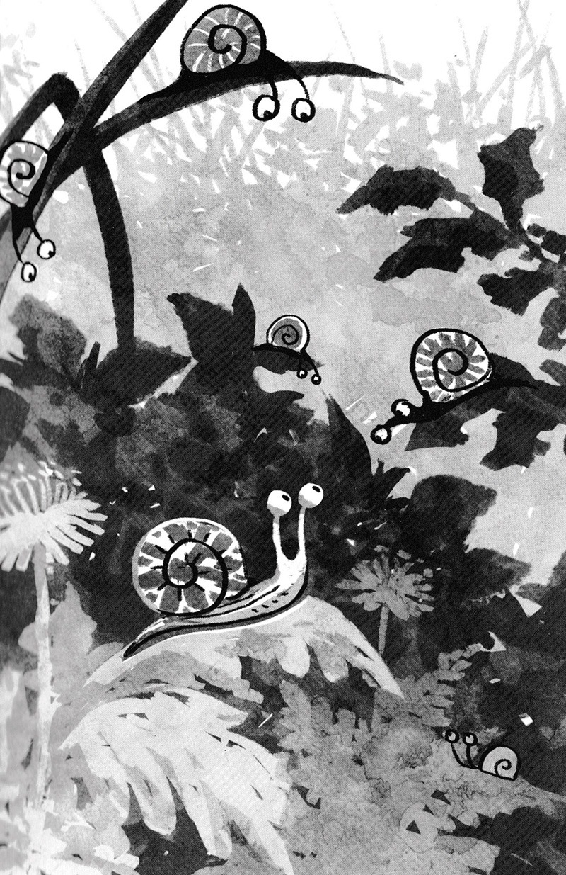 Chuyen Con Oc Sen Muon Biet Tai Sao No Cham Chap (Tai Ban 2025)