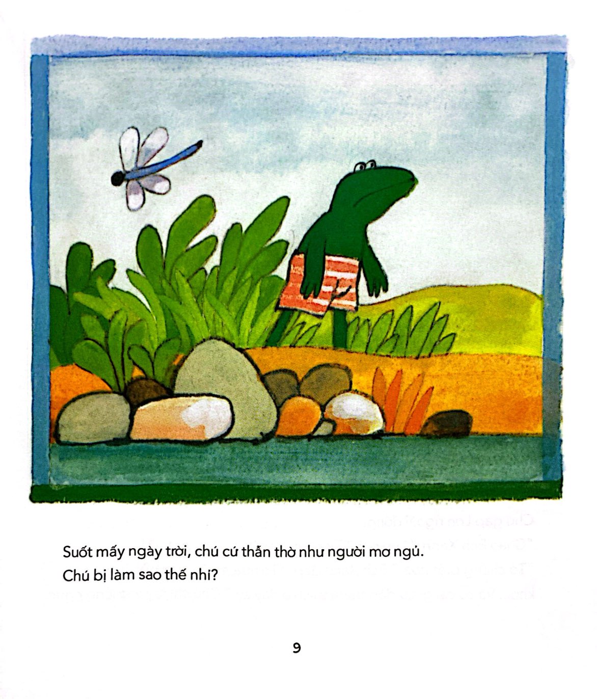 chuyện của ếch xanh - ếch xanh đang yêu