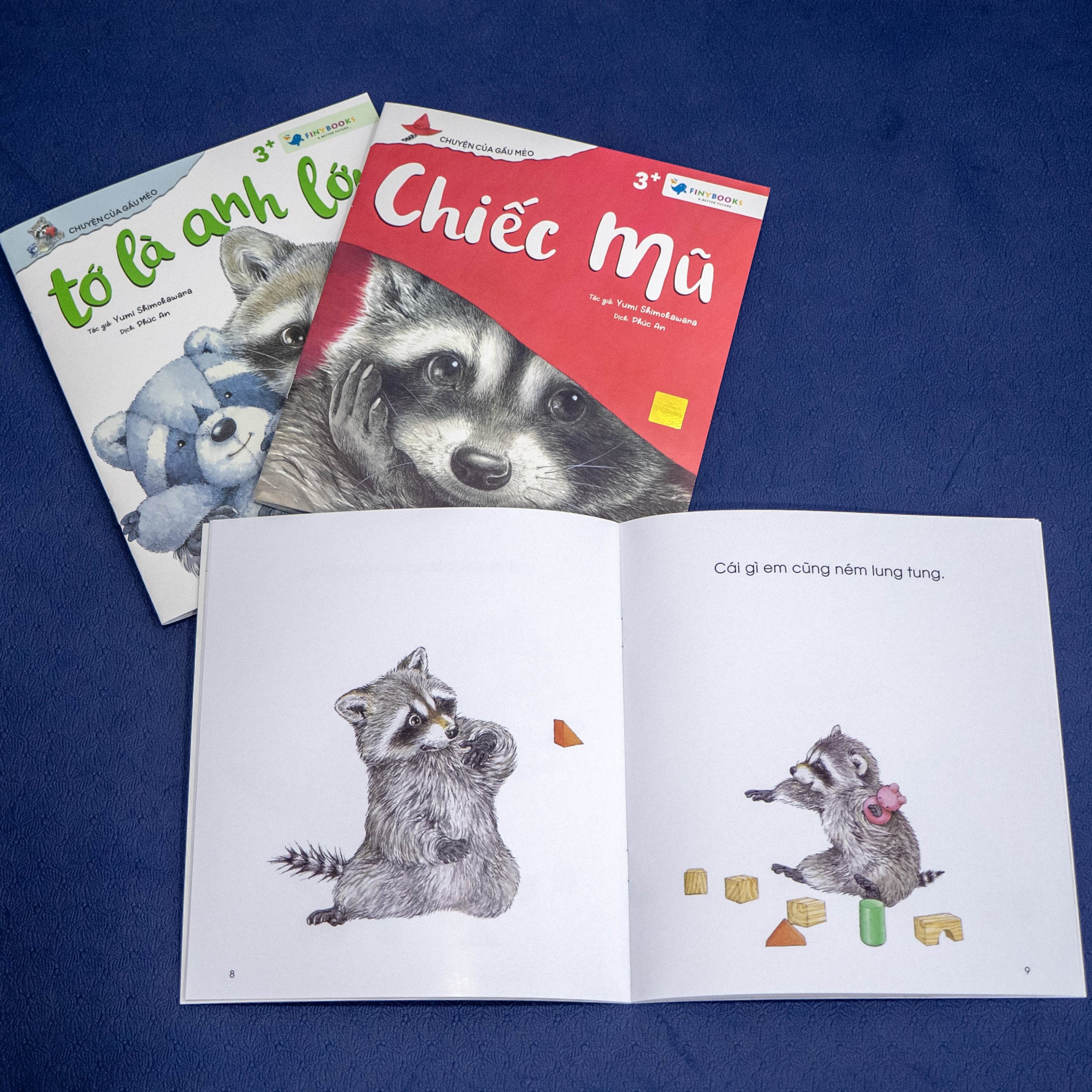 chuyện của gấu mèo - em bé của gia đình