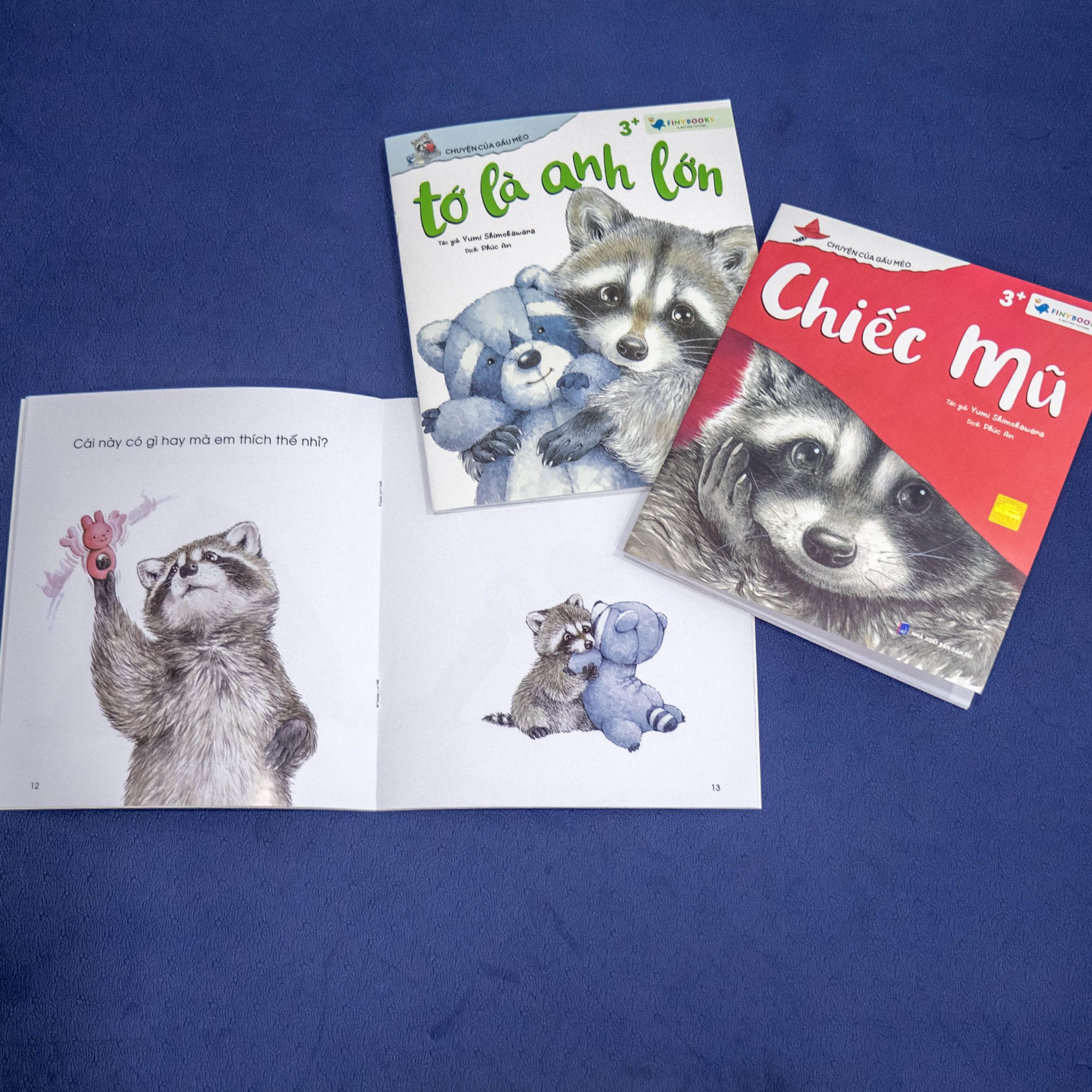 chuyện của gấu mèo - em bé của gia đình