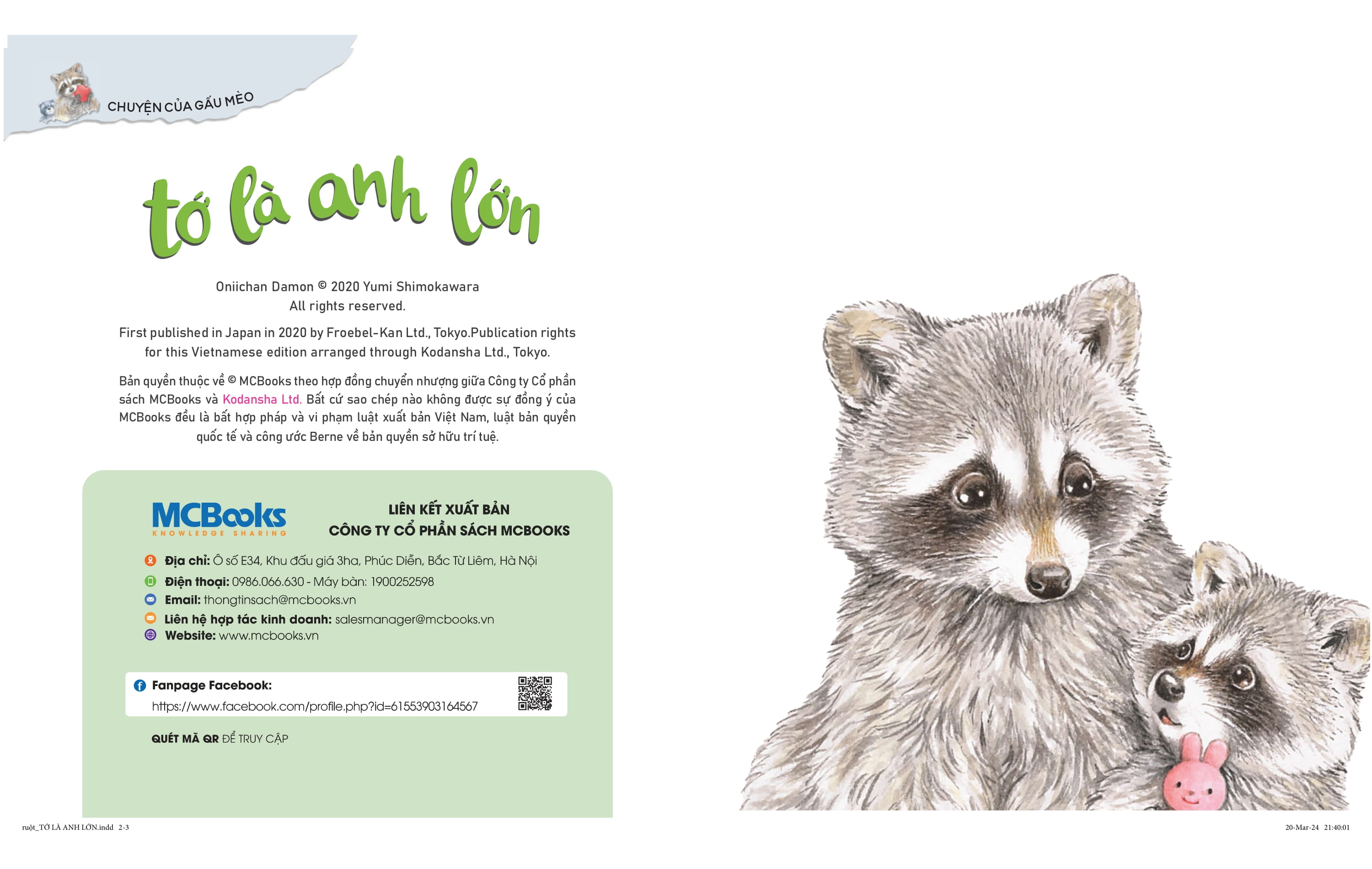 chuyện của gấu mèo - tớ là anh lớn