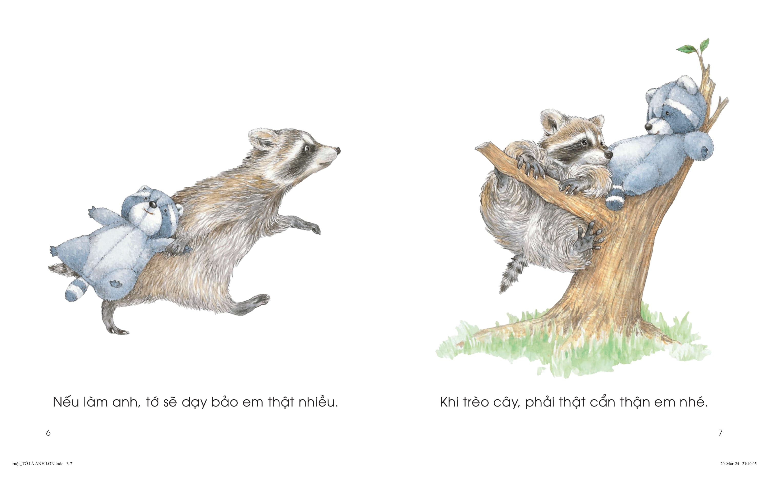 chuyện của gấu mèo - tớ là anh lớn