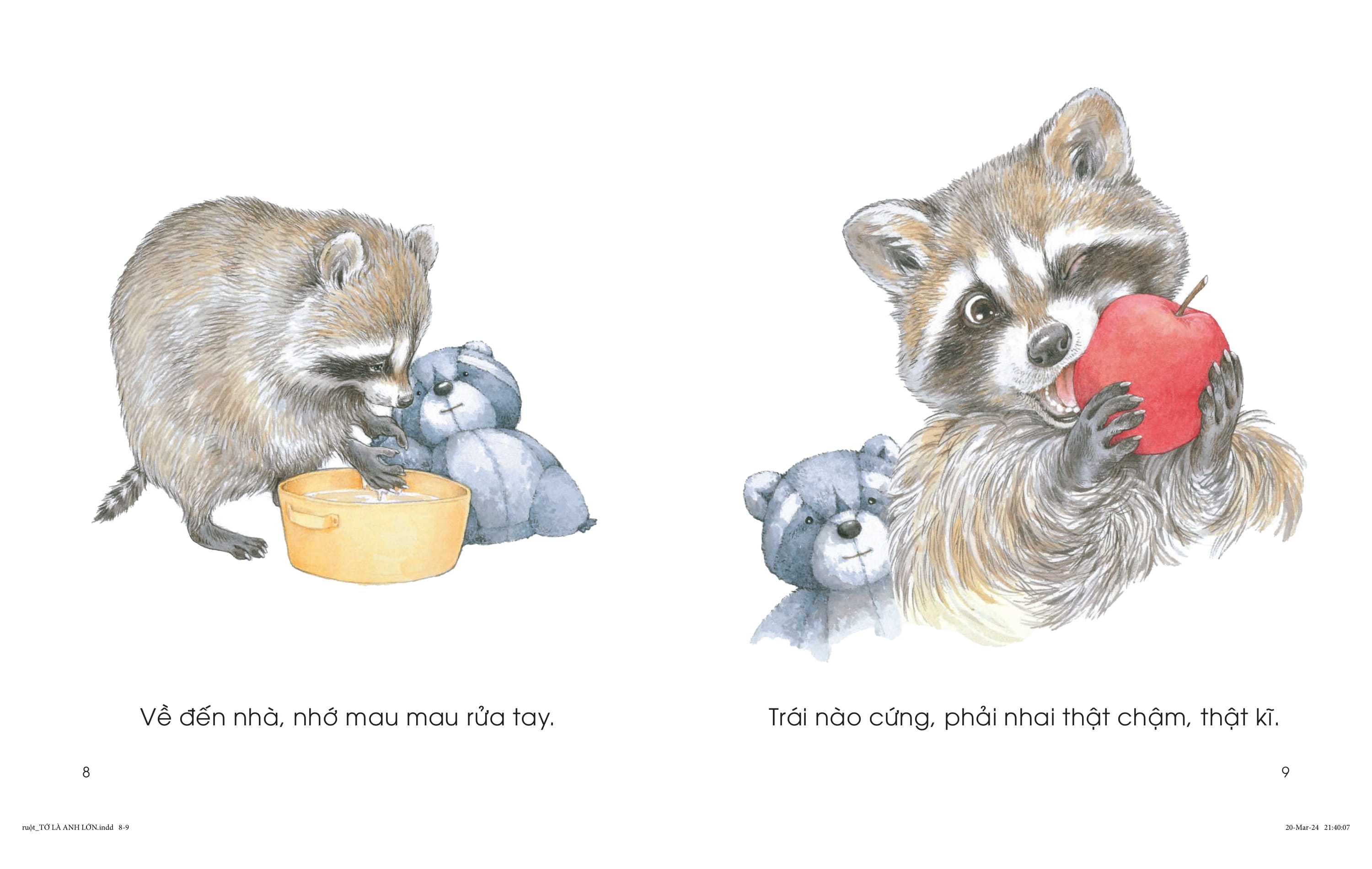 chuyện của gấu mèo - tớ là anh lớn