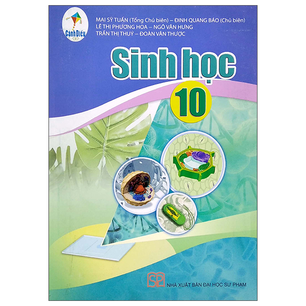 Chuyen De Hoc Tap Lich Su 10 (Canh Dieu) (Chuan)