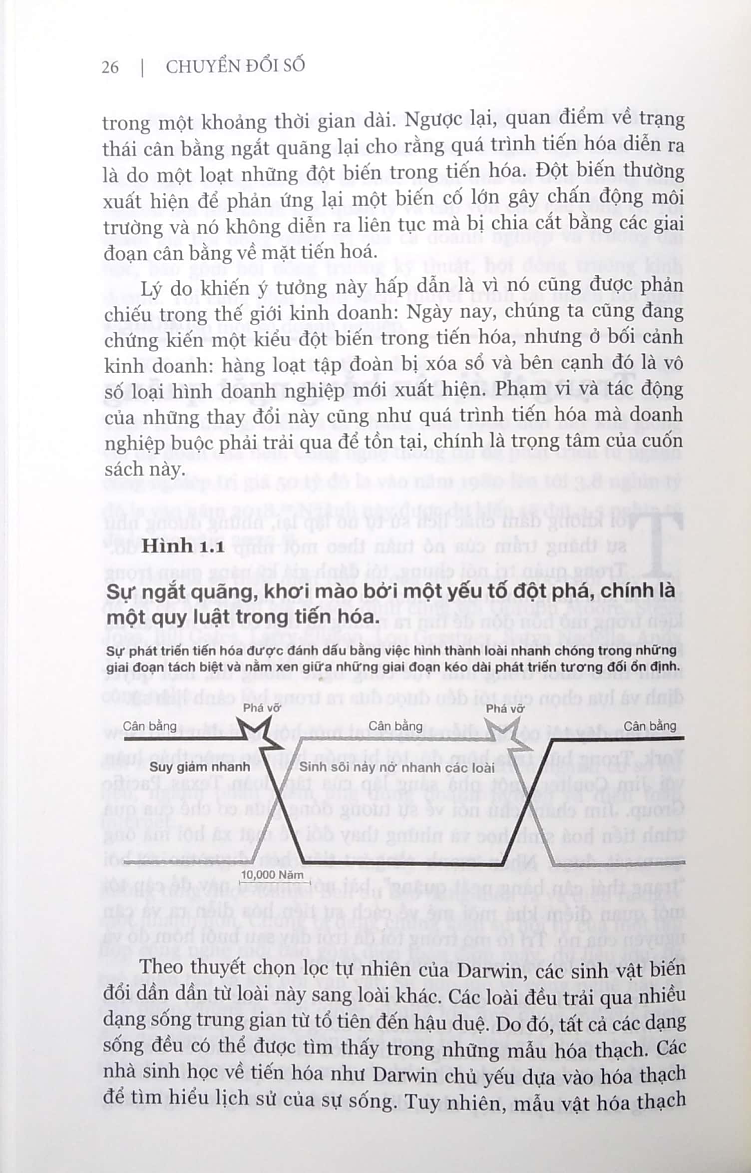 chuyển đổi số - digital transformation (tái bản)