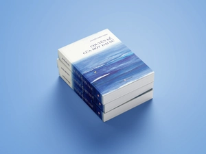 chuyện kể của một đại sứ