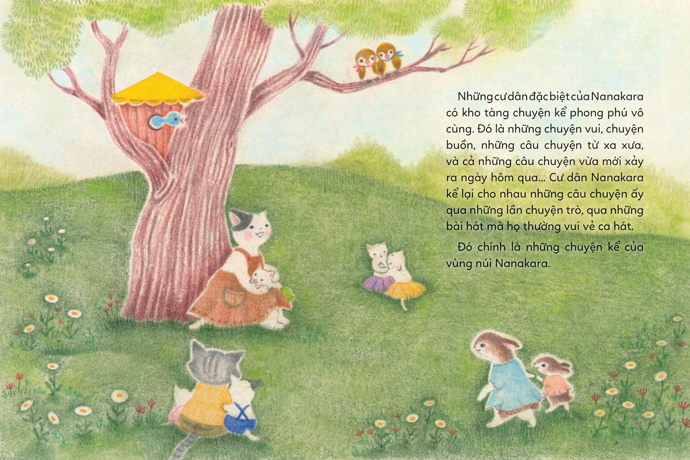 chuyện kể trên núi - bí mật của mèo bố