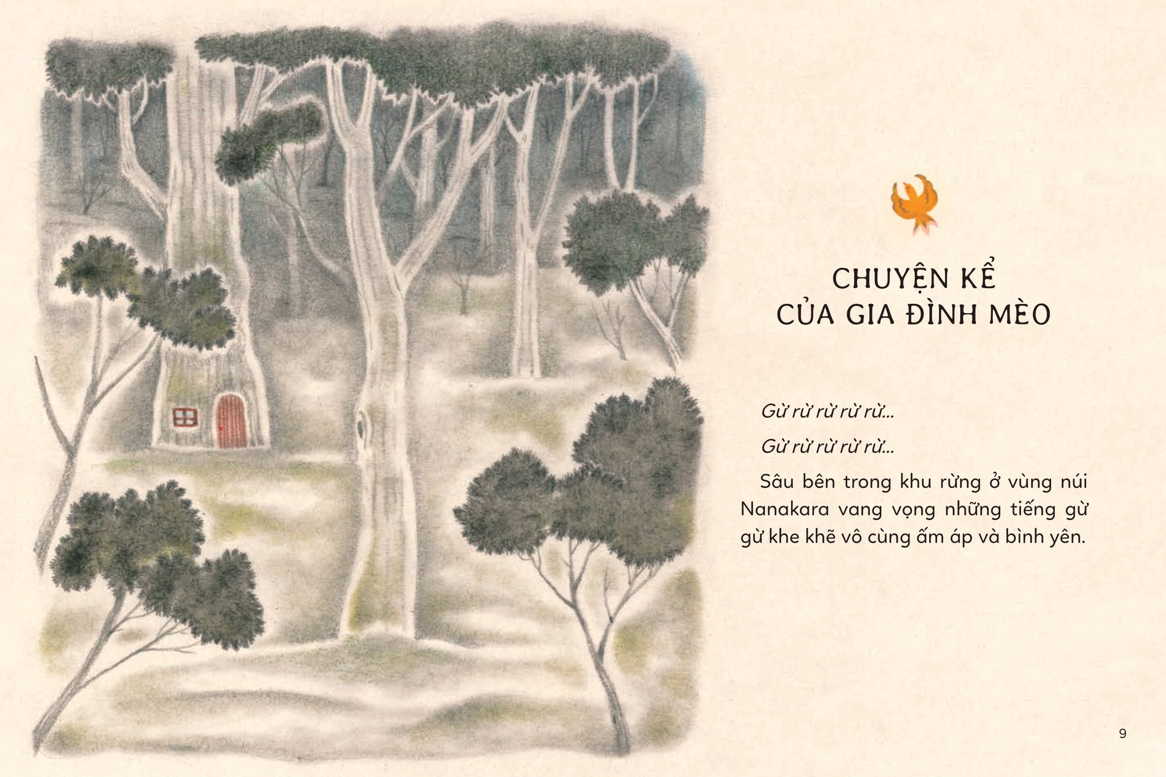 chuyện kể trên núi - bí mật của mèo bố