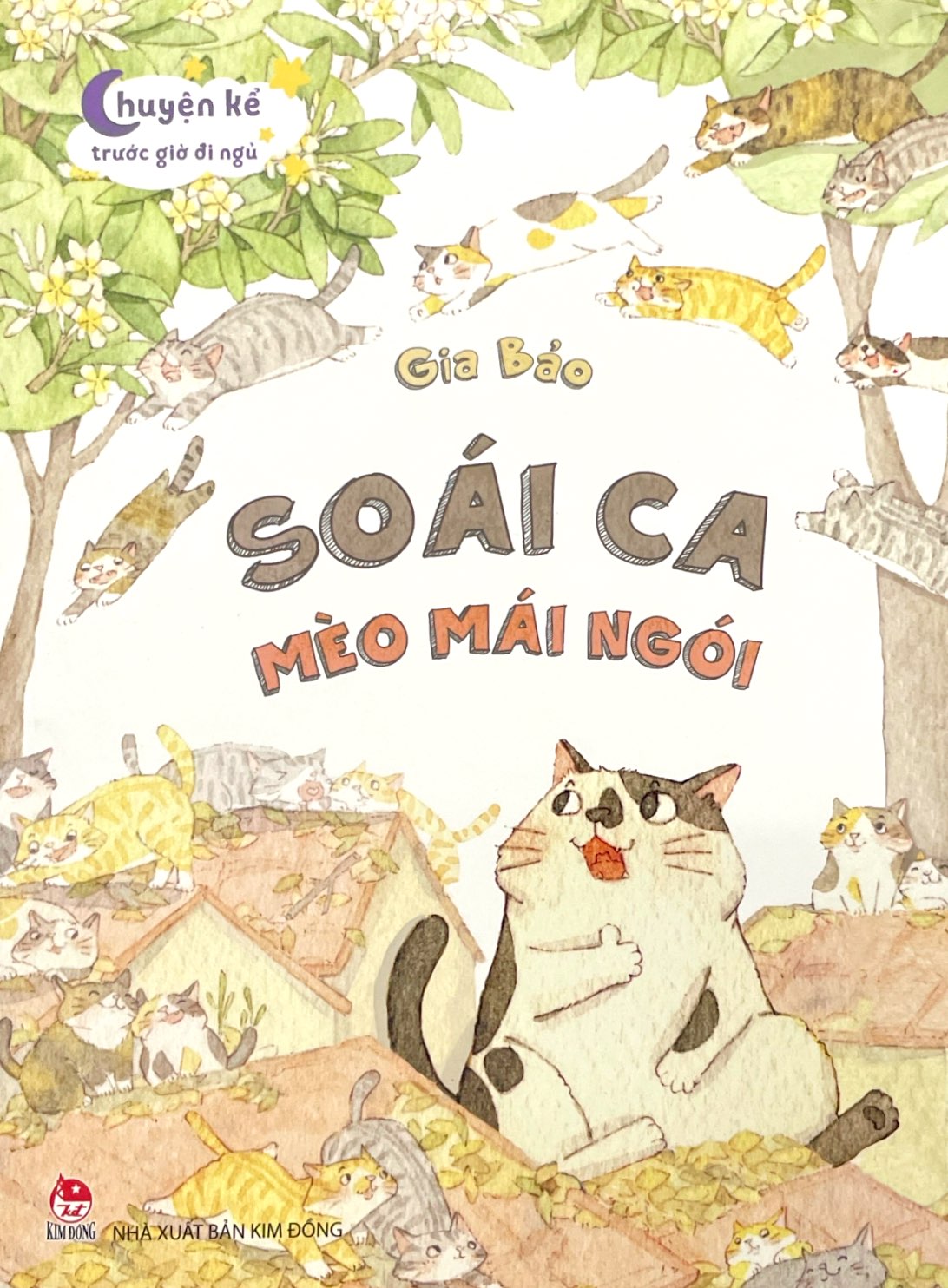 Chuyen Ke Truoc Gio Di Ngu - Soai Ca Meo Mai Ngoi