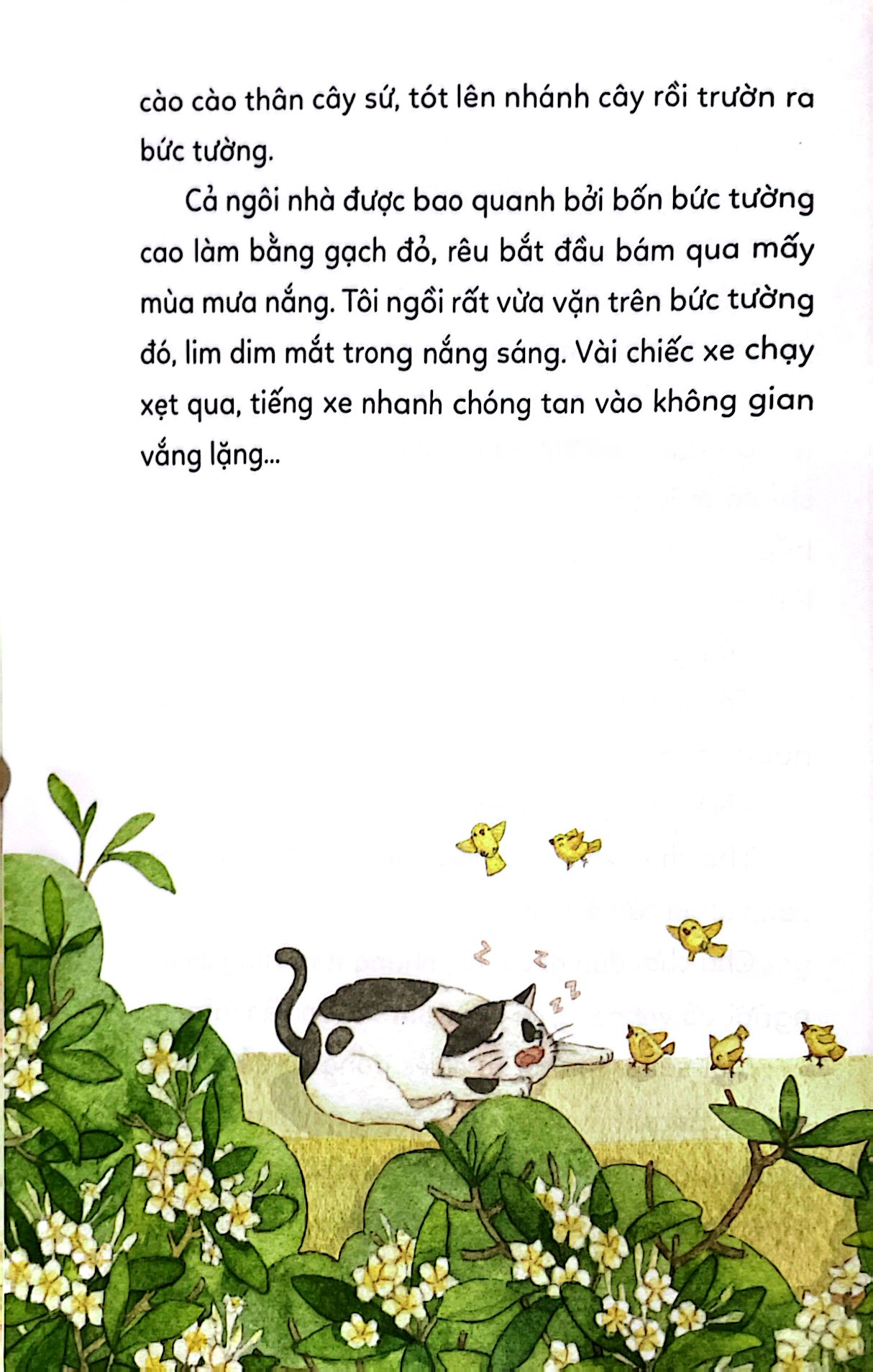 Chuyen Ke Truoc Gio Di Ngu - Soai Ca Meo Mai Ngoi