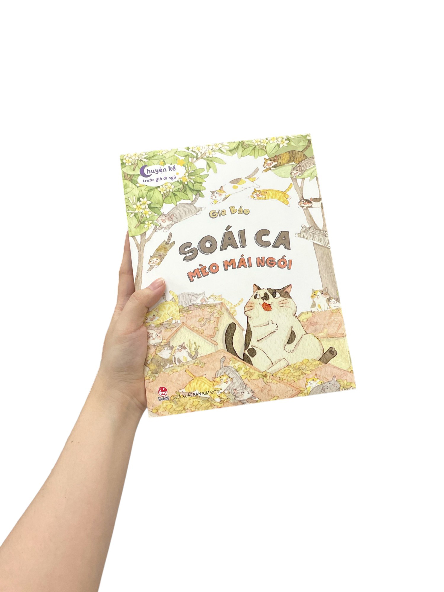 Chuyen Ke Truoc Gio Di Ngu - Soai Ca Meo Mai Ngoi