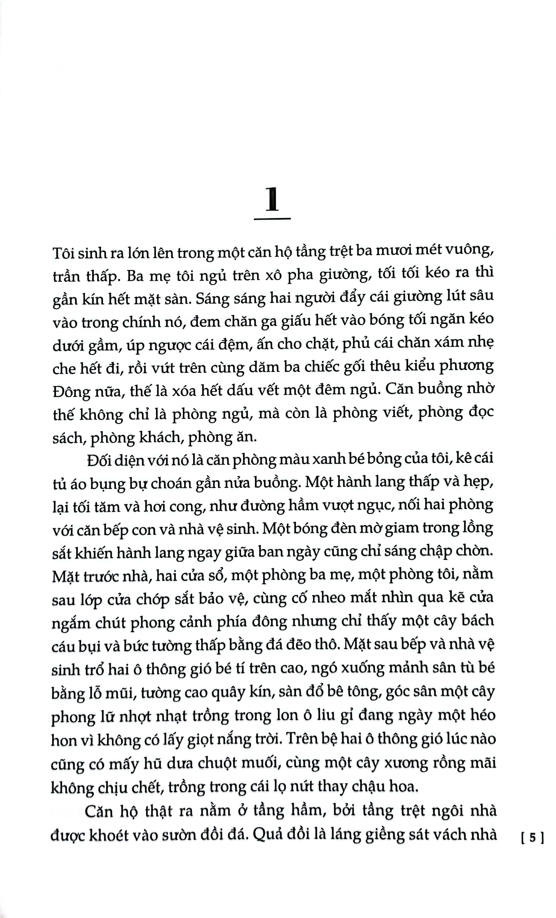 chuyện kể về tình yêu và bóng tối