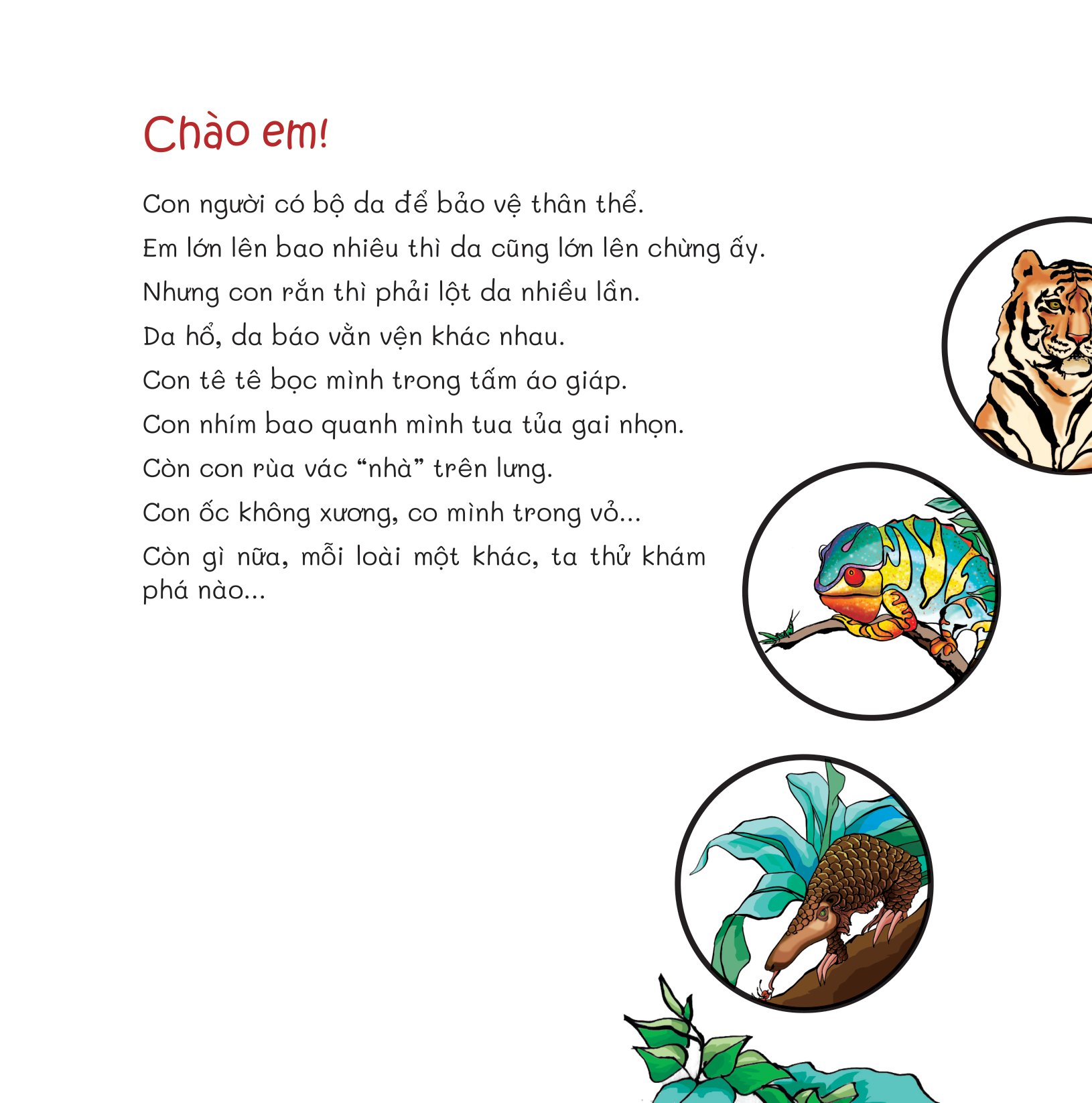 chuyện lạ loài vật - áo giáp, áo lông và cả áo vỏ