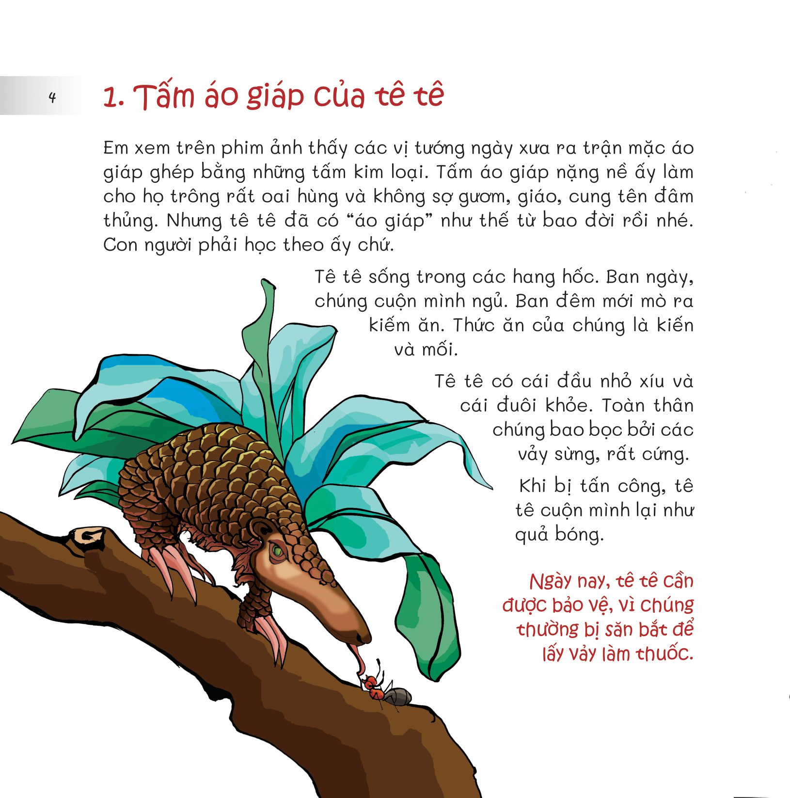 chuyện lạ loài vật - áo giáp, áo lông và cả áo vỏ