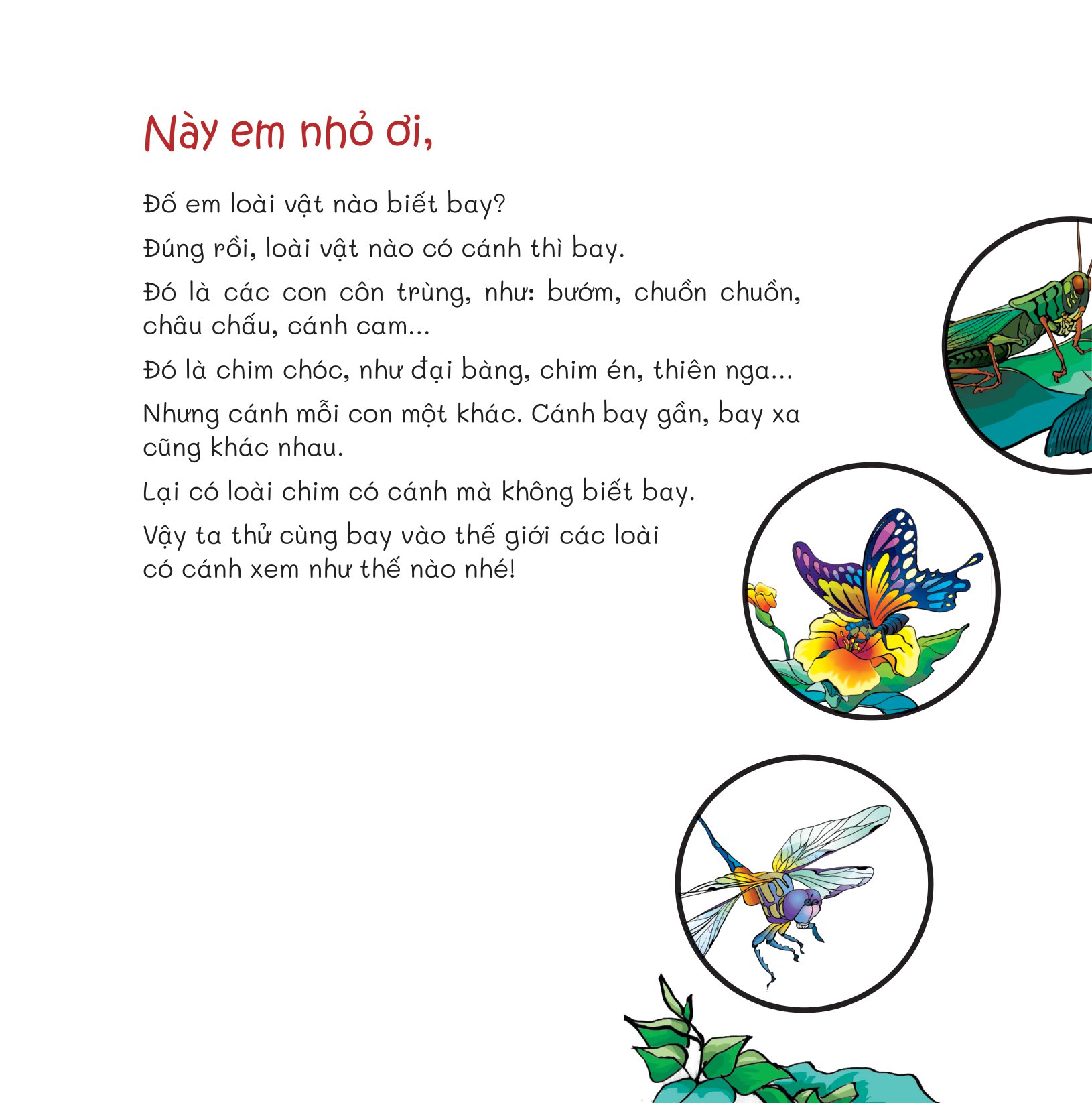 chuyện lạ loài vật - có cánh thì bay