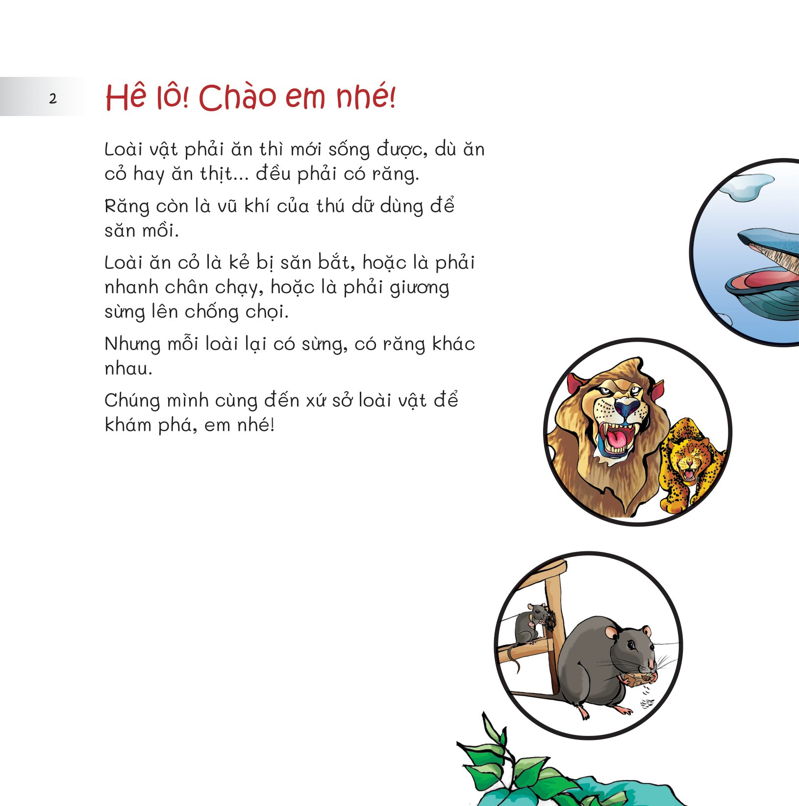 chuyện lạ loài vật - đem sừng mà đọ với răng