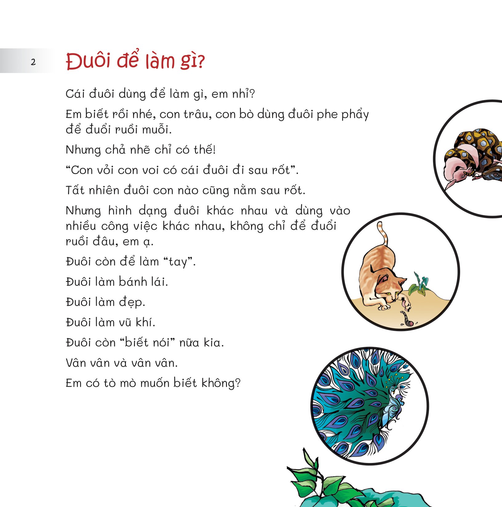 chuyện lạ loài vật - đuôi để làm gì?