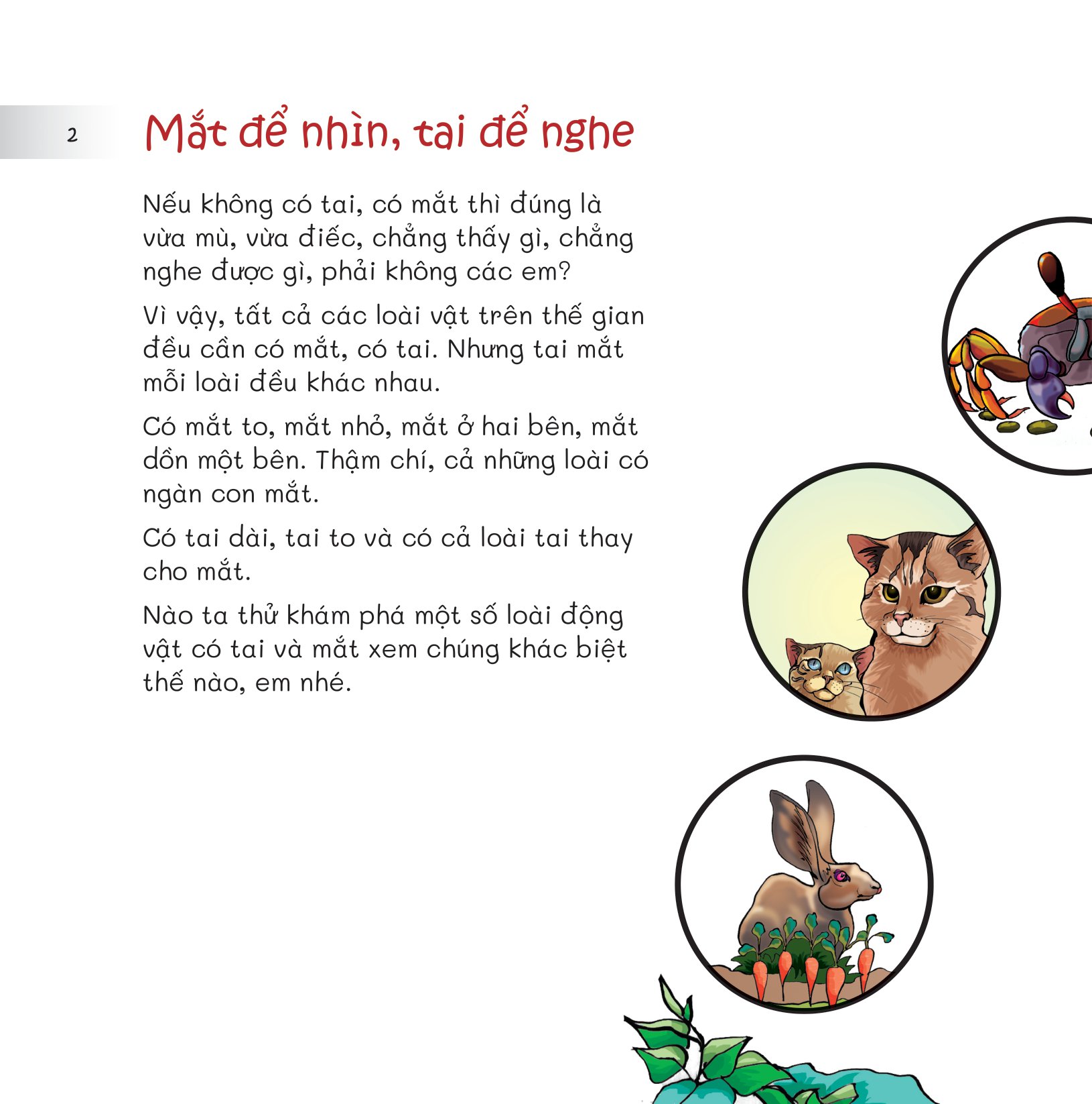 chuyện lạ loài vật - mắt để nhìn, tai để nghe