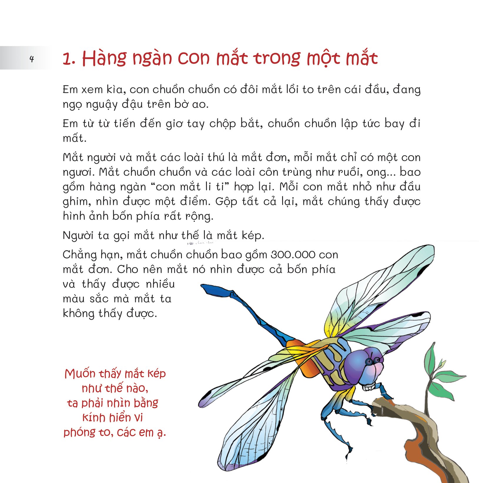 chuyện lạ loài vật - mắt để nhìn, tai để nghe