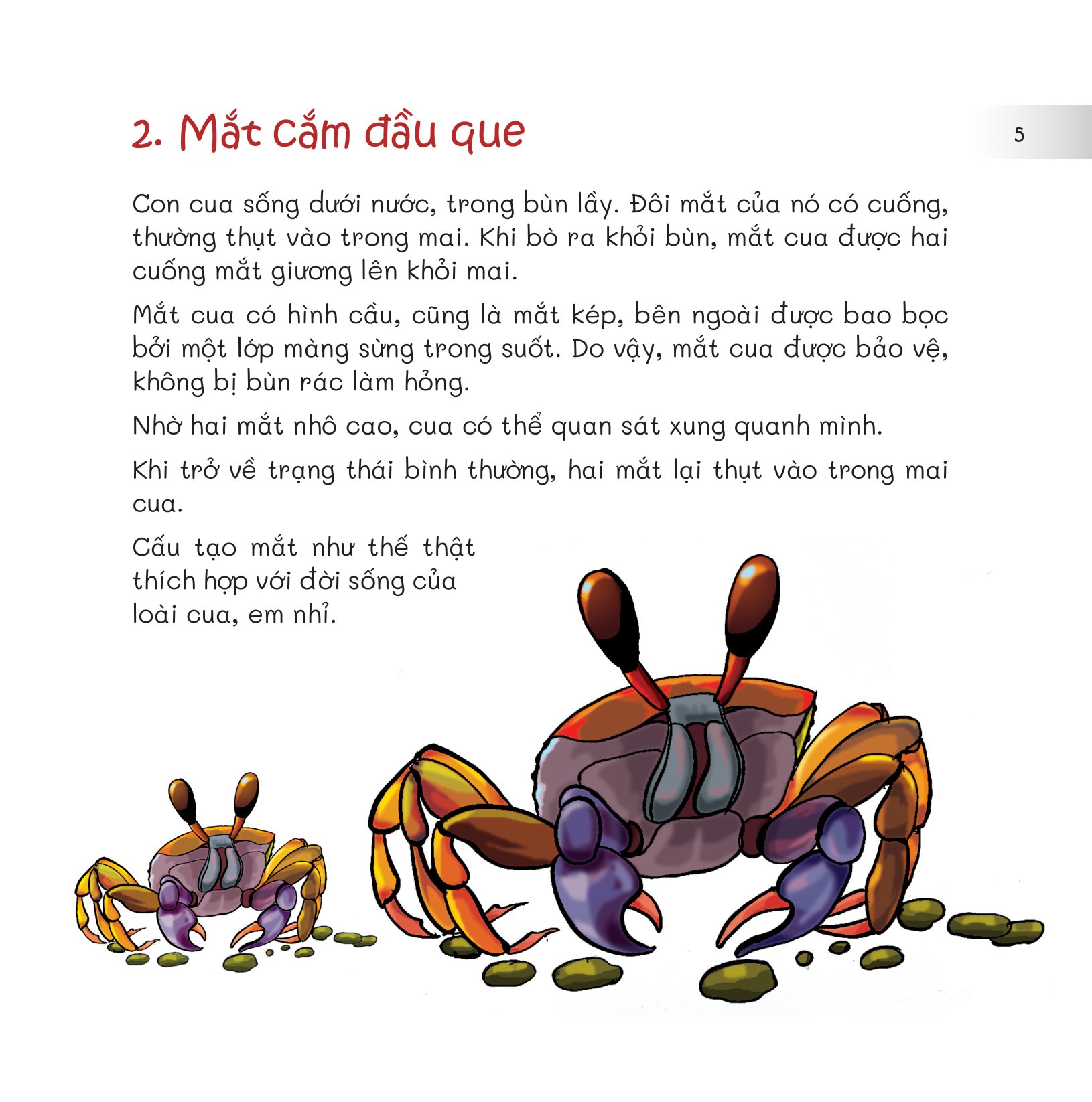 chuyện lạ loài vật - mắt để nhìn, tai để nghe