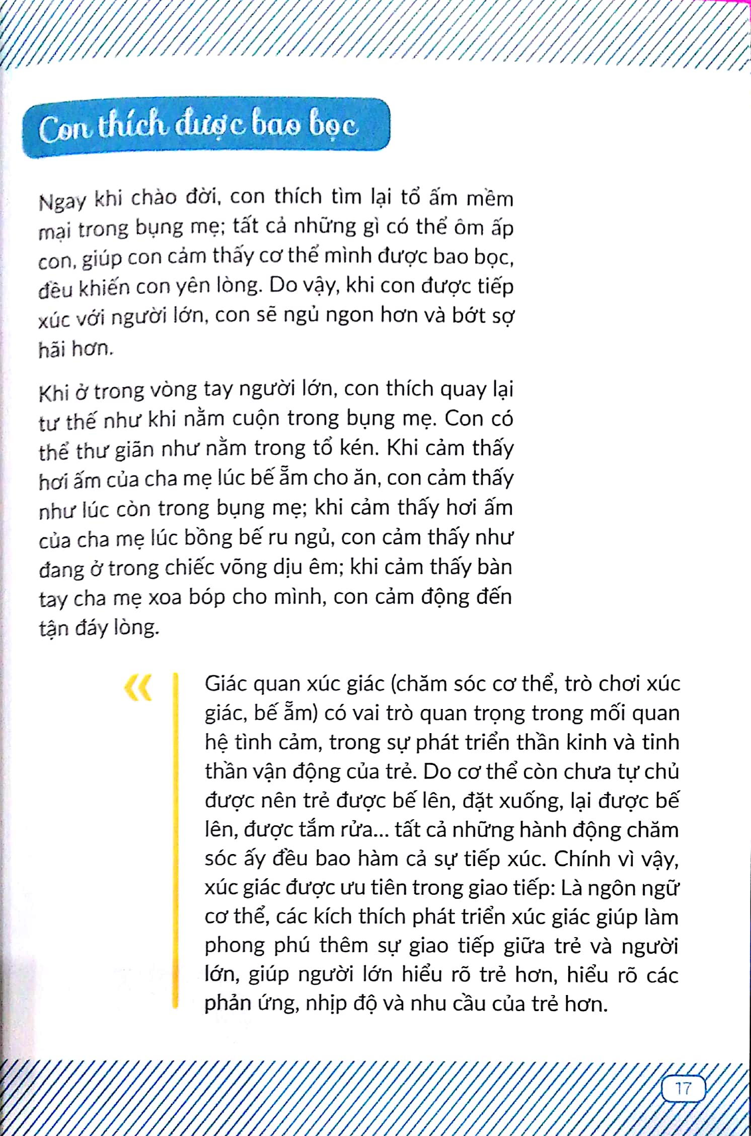 chuyến phiêu lưu của những bước đi