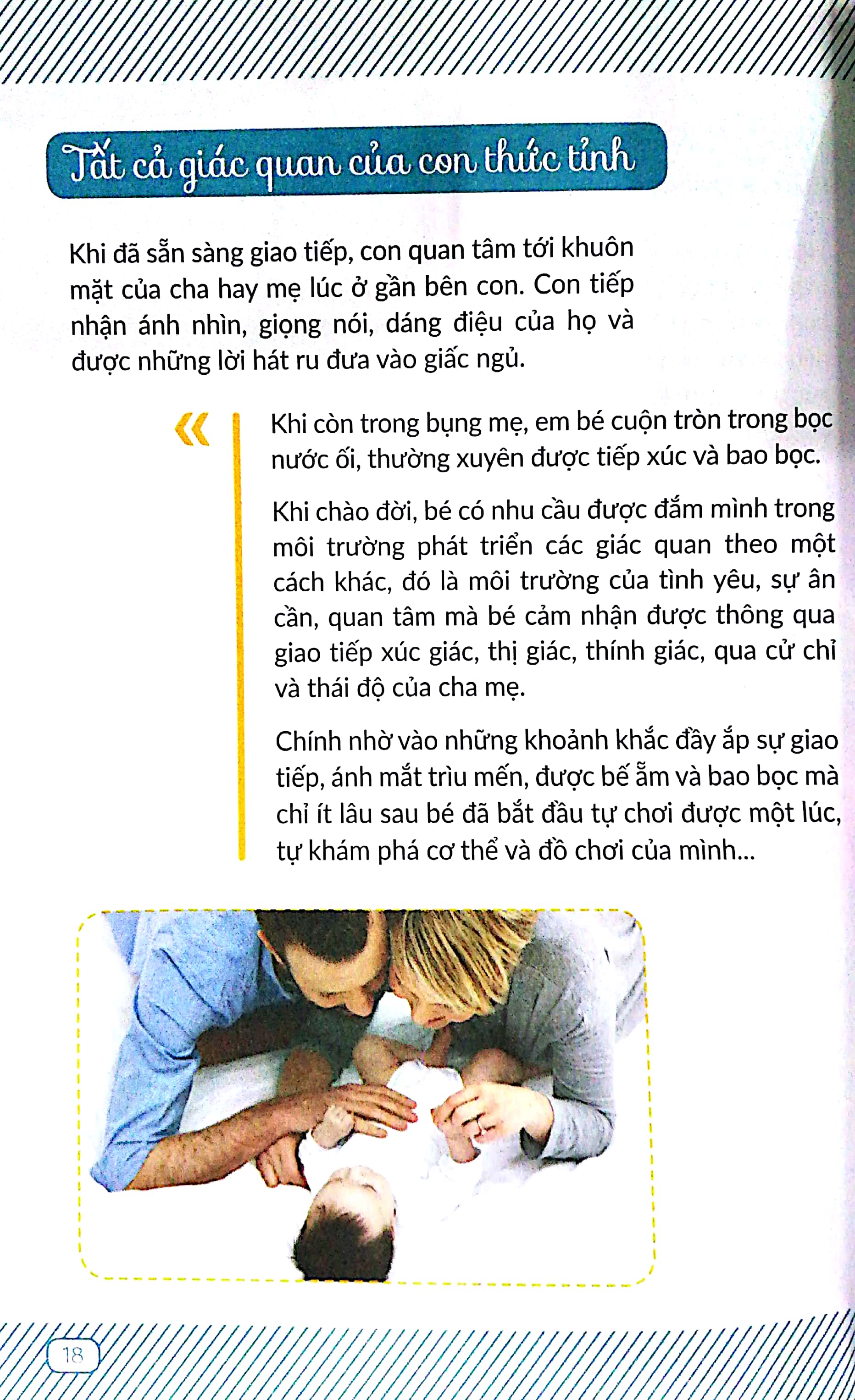 chuyến phiêu lưu của những bước đi