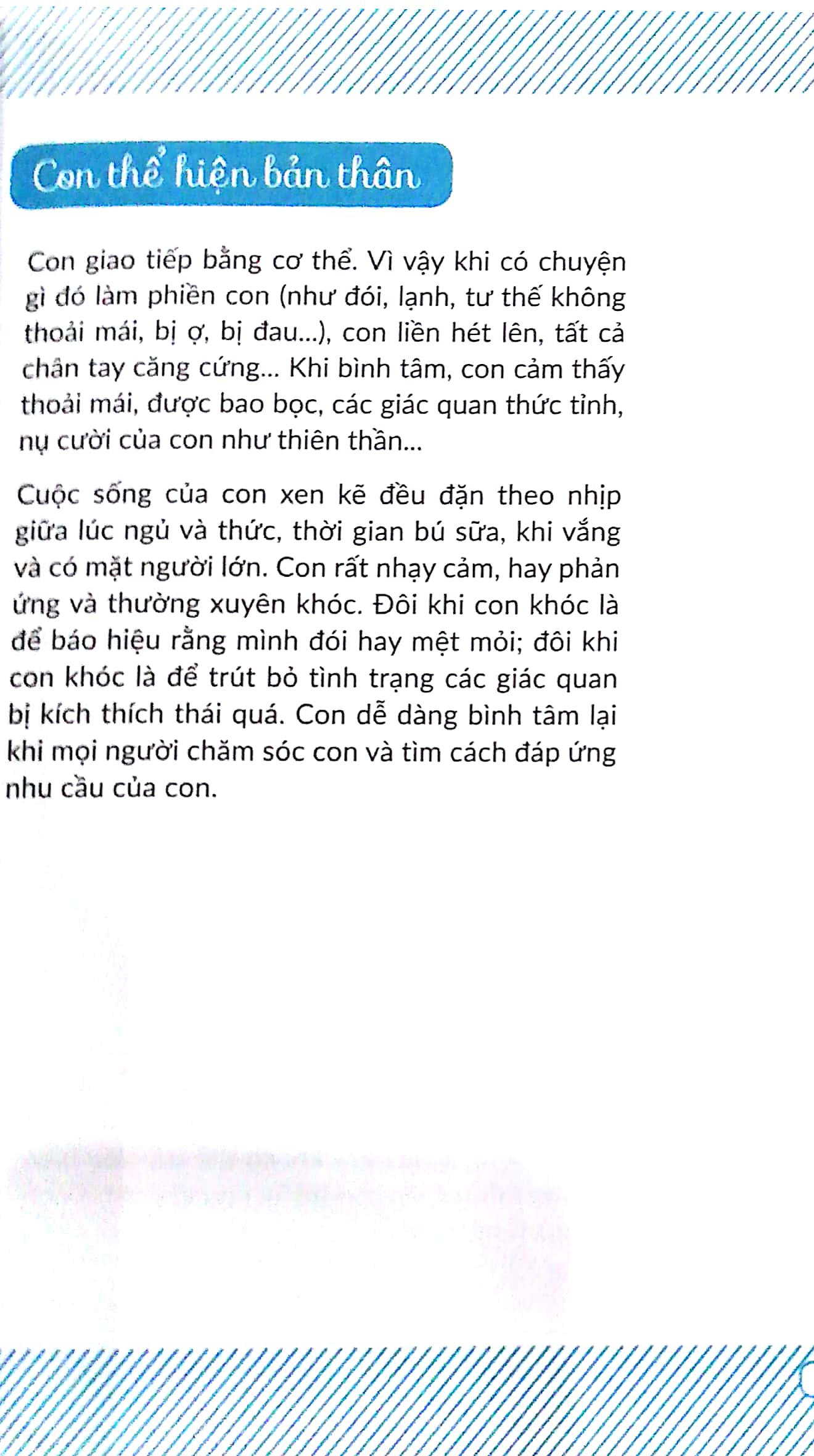 chuyến phiêu lưu của những bước đi