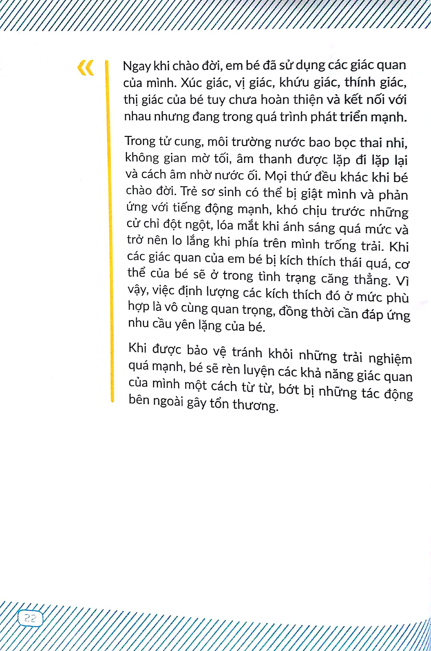 chuyến phiêu lưu của những bước đi