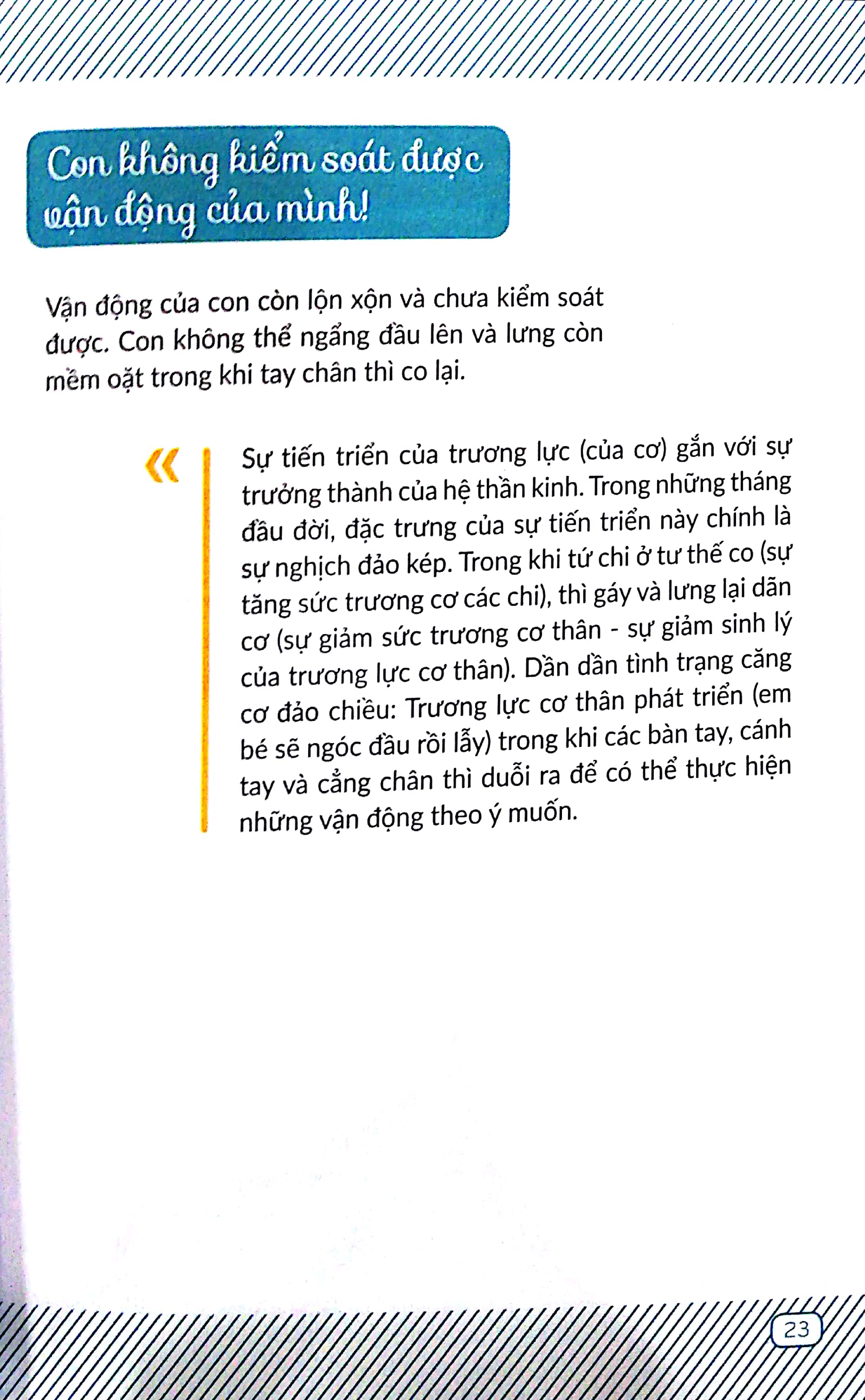 chuyến phiêu lưu của những bước đi