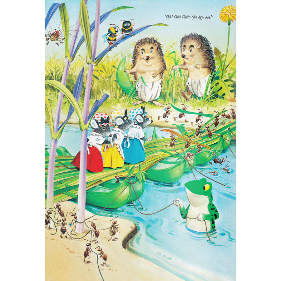 chuyện rừng - cư dân của rừng