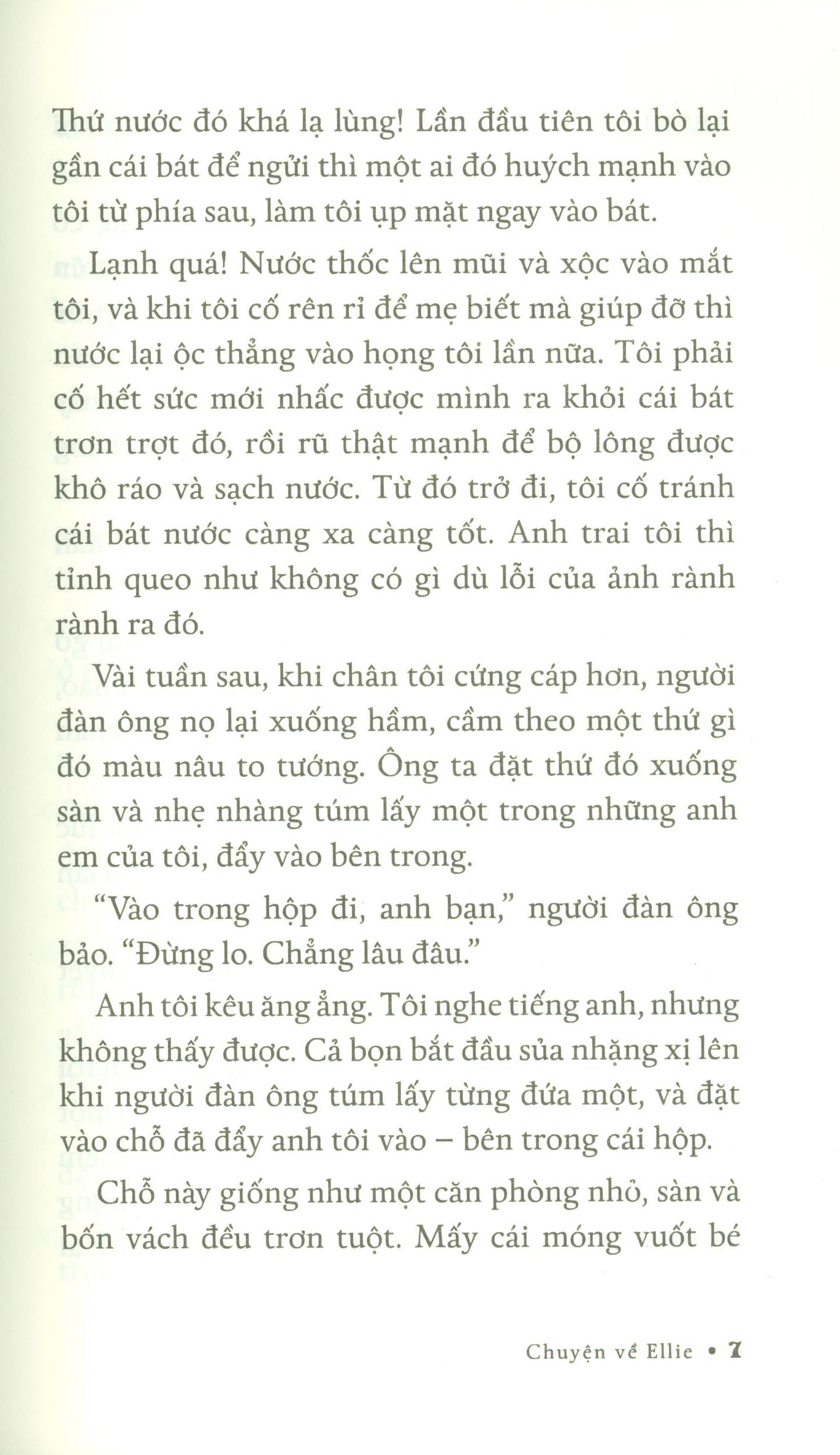 chuyện về ellie - chú chó trong tiểu thuyết mục đích sống của một chú chó