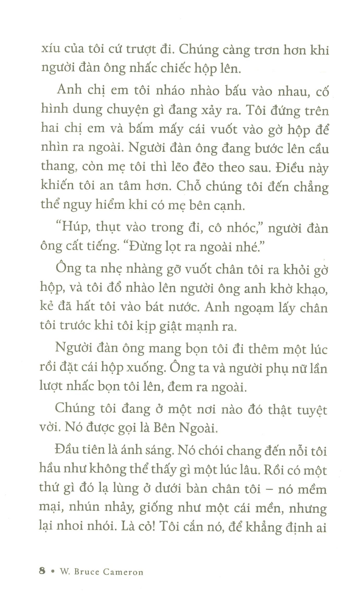 chuyện về ellie - chú chó trong tiểu thuyết mục đích sống của một chú chó