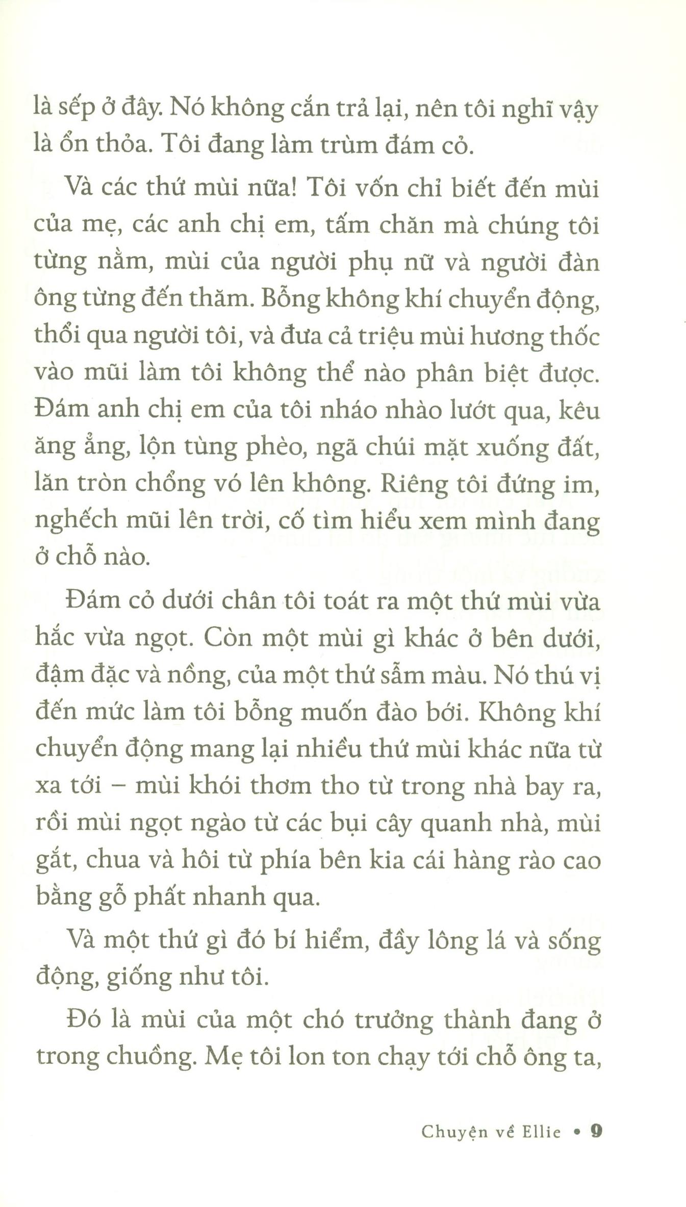 chuyện về ellie - chú chó trong tiểu thuyết mục đích sống của một chú chó