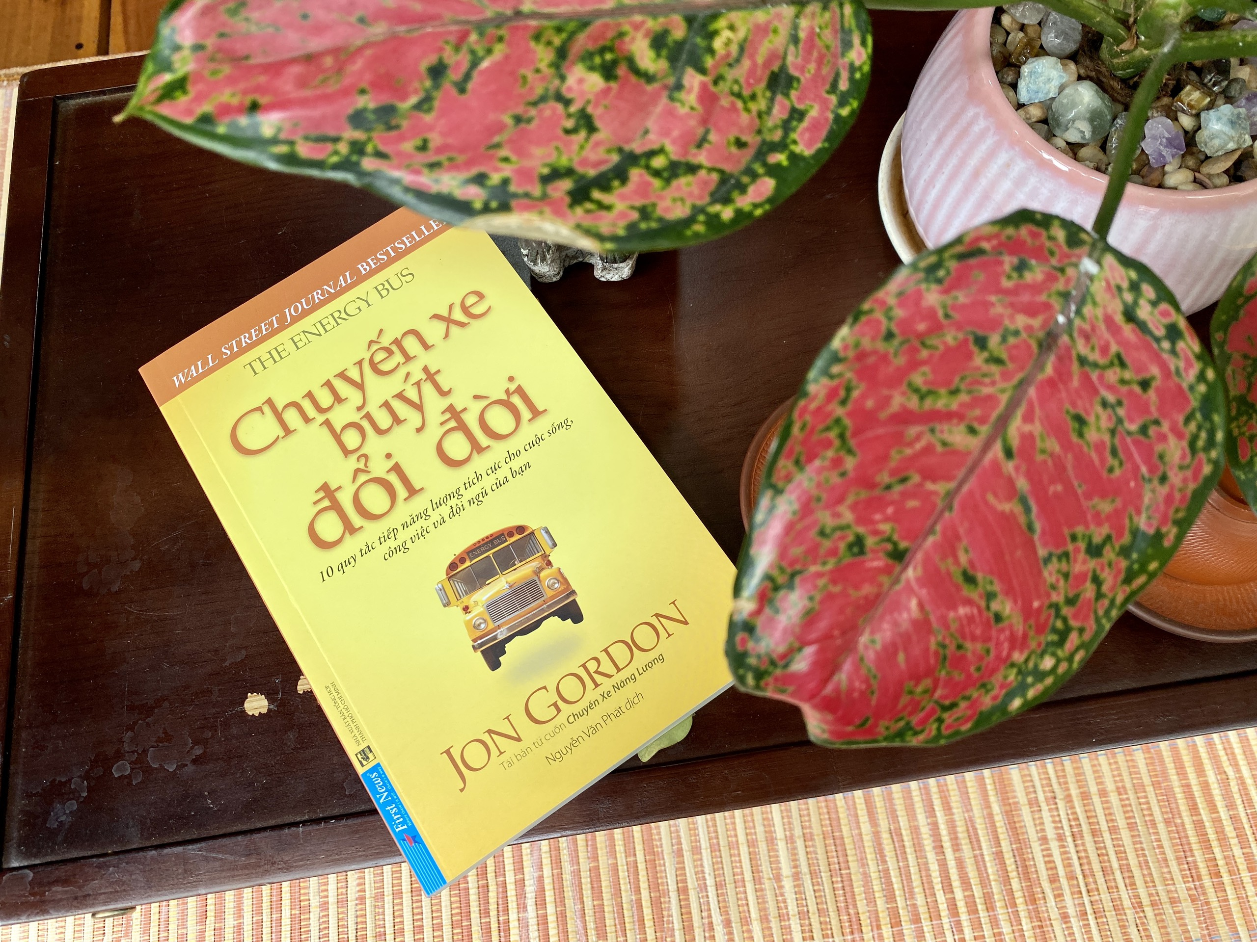 chuyến xe buýt đổi đời